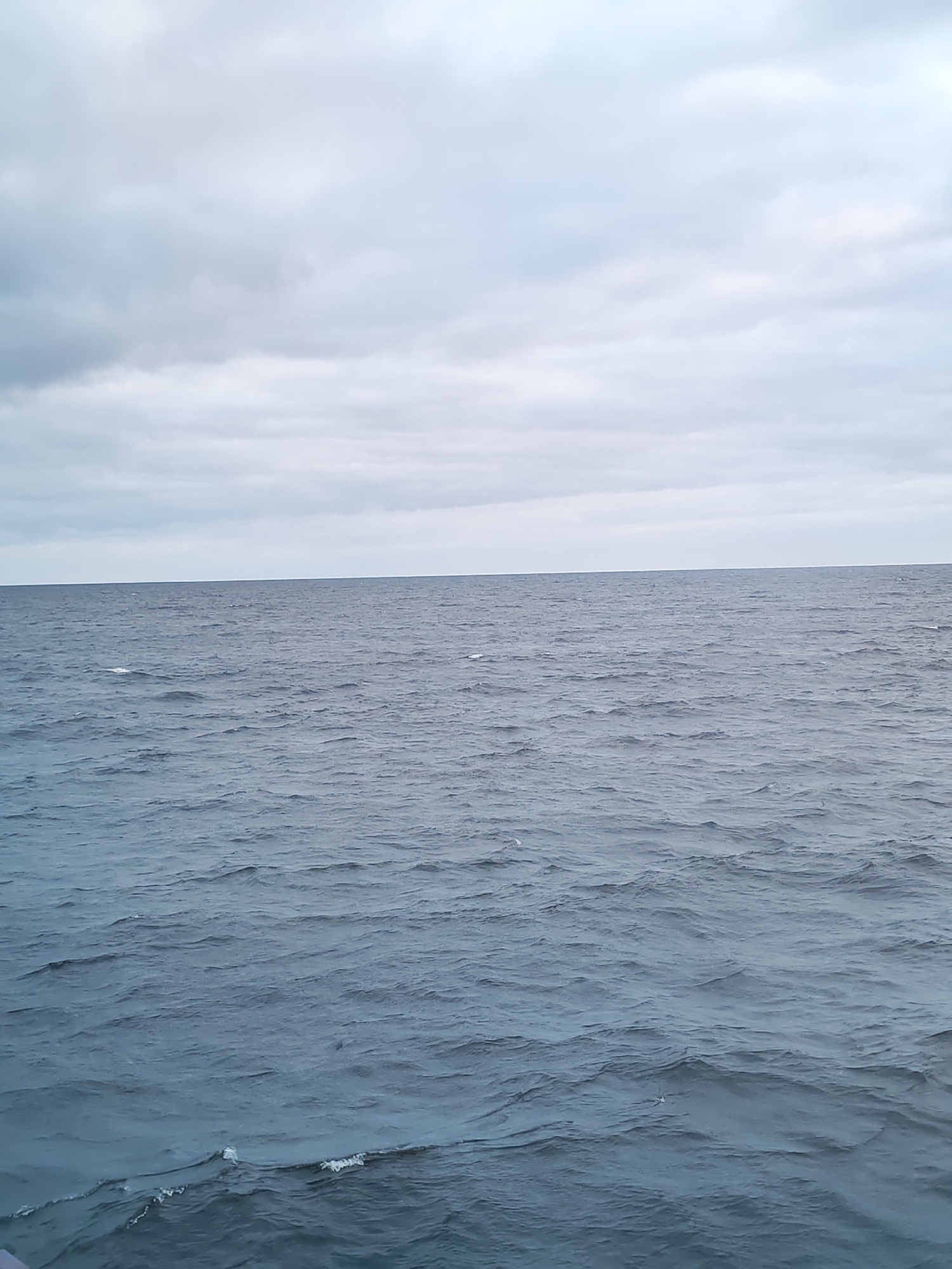 The image presents a vast, unobstructed view of an open body of water beneath an overcast sky. The horizon line is clearly visible, separating the expanse of the sky from the sea below.
The sky is filled with a dense layer of light grey and white clouds, indicating an overcast or cloudy day. The light is diffused, creating a soft, even illumination across the entire scene. There are no breaks in the clouds to suggest direct sunlight.
The body of water, likely a sea or large lake such as the White Sea near Shcheleiki, Russia, is a deep, cool blue-grey. Its surface is characterized by numerous small ripples and gentle waves, some with subtle whitecaps, particularly noticeable in the foreground. These movements suggest the presence of a light breeze. The water appears deep and undisturbed by human activity, with no boats, land features, or other objects visible on its surface.
The scene evokes a sense of vastness, tranquility, and natural grandeur. The absence of people, structures, or any specific event highlights the solitary beauty of the open water under a muted sky. The time of day appears to be daytime, given the general brightness, but the cloudy conditions preclude a clear indication of morning or afternoon. No text is visible within the image.
