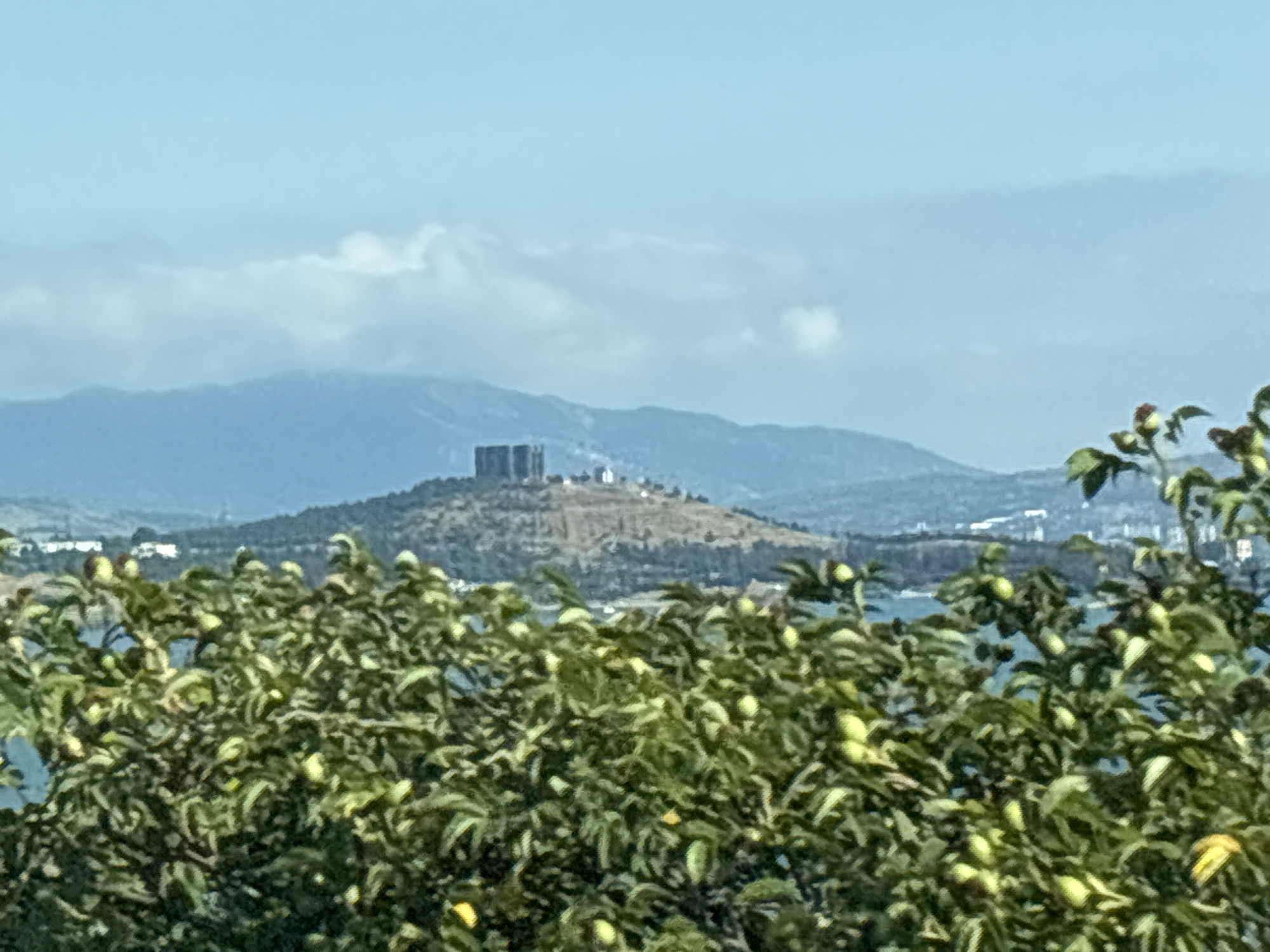 This image captures a scenic overlook in Tbilisi, Georgia, with lush green foliage in the foreground obscuring a hazy view of a distant cityscape and mountainous terrain. The foliage, possibly a fruit-bearing tree given the presence of unripe green fruits, dominates the lower half of the frame. Beyond the greenery, a body of water is visible, suggesting the presence of the Mtkvari River. In the middle ground, a hill rises, topped by what appears to be a modern architectural structure, possibly residential or industrial buildings, and some smaller, white structures possibly indicative of facilities or monuments. The distant background features a range of blue-hued mountains under a pale blue sky with scattered white clouds. The overall impression is one of a natural landscape meeting urban development, with a hint of industrial presence on the hill.