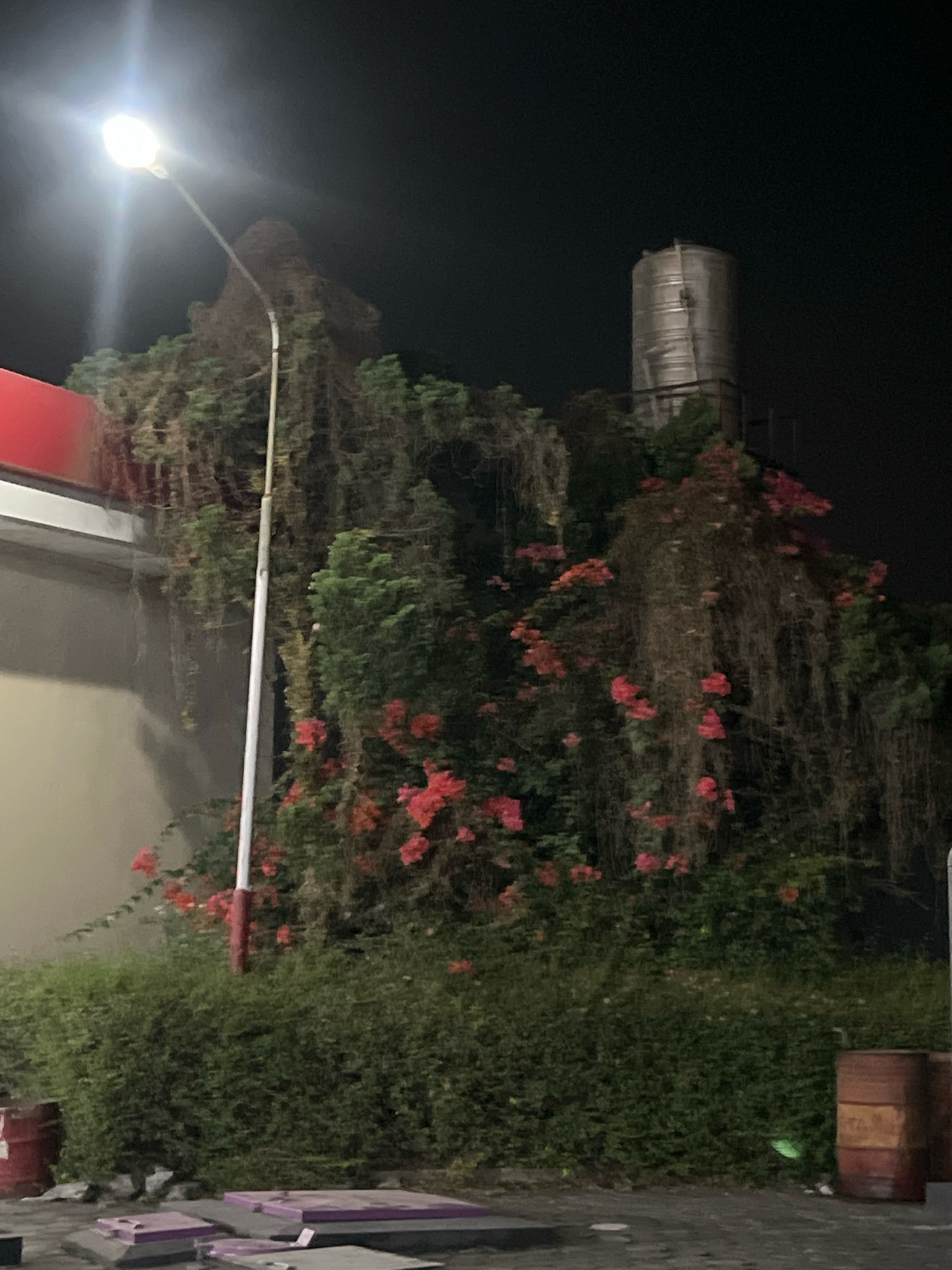 At night, in the city of Magelang, Indonesia, an outdoor scene is captured featuring overgrown vegetation illuminated by a bright streetlamp. Dense green bushes and vines, some bearing pink flowers, cover the landscape. A tall, silver water tower stands prominently in the background. In the foreground, a light-colored building with a red trim is partially visible on the left. The ground is paved, with several cylindrical barrels, one appearing to be a reddish-brown color, placed to the right. There are no people or animals visible in the frame.