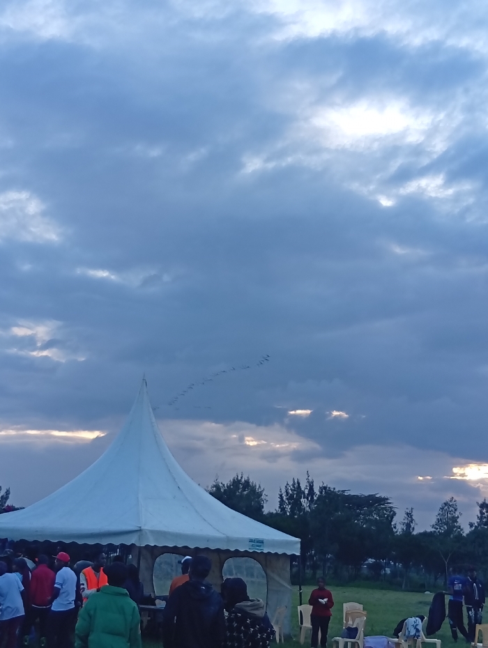 A white peaked tent stands amidst a crowd of people, shadowed against a cloudy sky. The sky, a palette of blues and grays, hints at a setting sun, as slivers of light peek through the clouds. A flock of birds flies in formation above the tent, adding a sense of movement to the scene. Beyond the tent, trees dot the horizon, completing the outdoor setting.