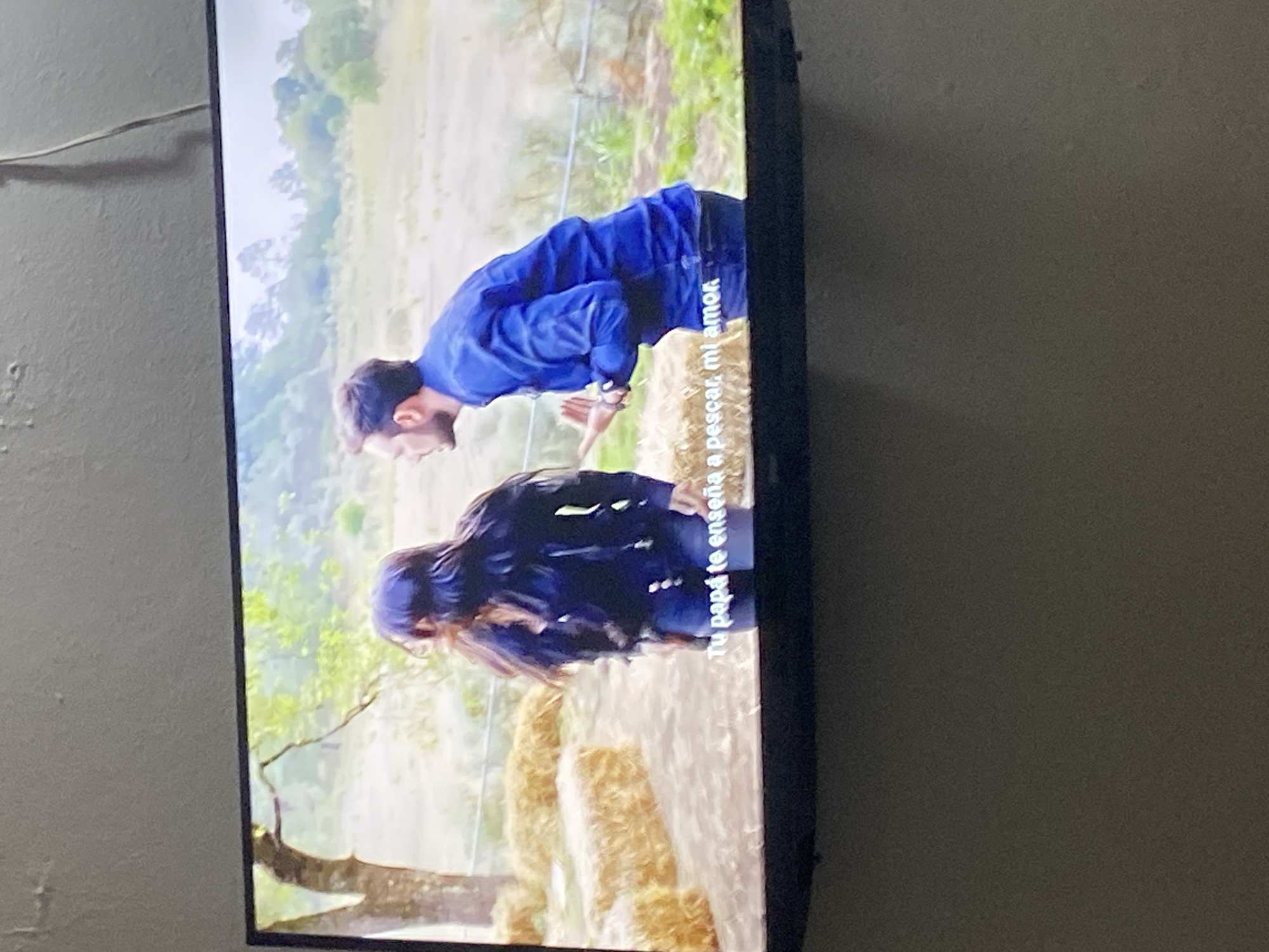 A television screen displays a scene featuring two people in an outdoor setting. The image is oriented vertically, suggesting the television is positioned in portrait mode or the photo was taken with the camera rotated.
The foreground shows the back of a person wearing a dark, possibly black, jacket. This individual is bent over, with their head down. In front of them, and slightly to the left, is another person wearing a vibrant blue jacket and dark pants. This person is facing away from the viewer and is also bent over, with their hands clasped together in front of them. Both individuals appear to be looking down at something on the ground, perhaps engaging in an activity that requires them to be close to the earth.
The background suggests a rural or natural environment. There is a field with dry, golden-colored vegetation, possibly hay bales, scattered around. Trees with green foliage are visible further in the distance, and the overall lighting indicates it is daytime, with natural light illuminating the scene.
White text is visible on the right side of the screen, overlaid on the image. The text reads: "Tu papá te enseña a pescar, mi amor." This translates from Spanish to "Your dad teaches you to fish, my love." This caption provides context, suggesting a familial or teaching moment related to fishing. The overall mood of the scene appears calm and perhaps instructional or intimate, given the text and the posture of the individuals.