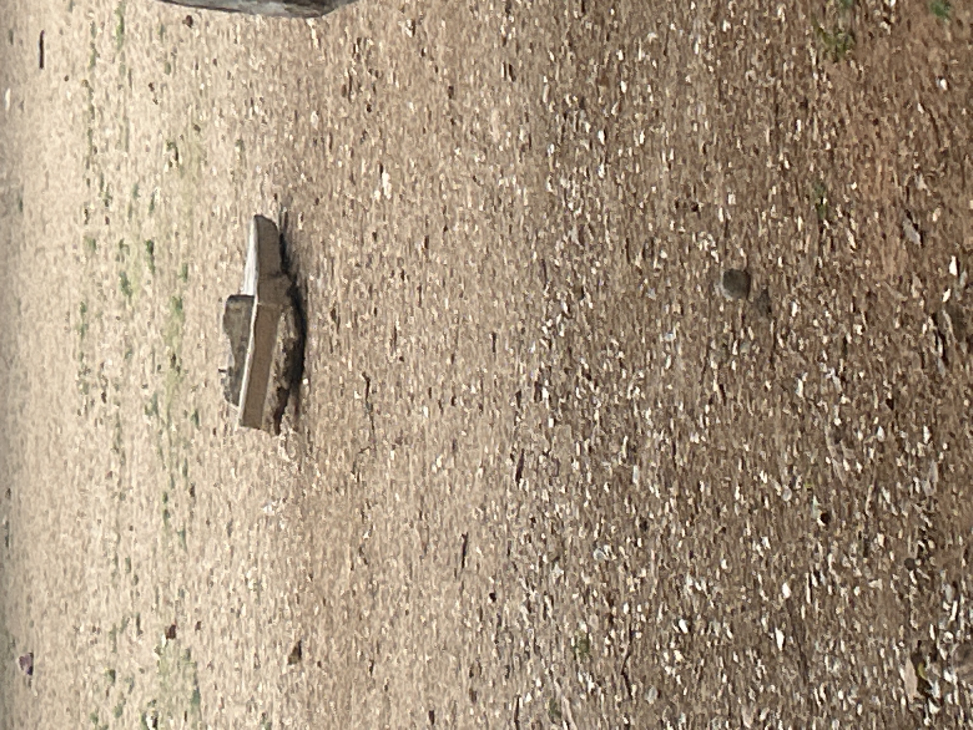 The image depicts a dry, gravelly, and sandy outdoor environment with scattered small rocks and sparse green vegetation. In the middle ground, there are several broken concrete or stone slabs lying on the ground. One slab appears to be a rough, rectangular shape, possibly a remnant of construction. Further to the right, a rounded, light-colored stone or small boulder is visible on the ground. The background shows more of the arid ground surface extending into the distance. The lighting suggests it is daytime, likely under natural sunlight. There are no people or animals visible in the frame. The overall impression is one of a desolate or undeveloped outdoor area. The location is identified as Santa Ana, Venezuela.