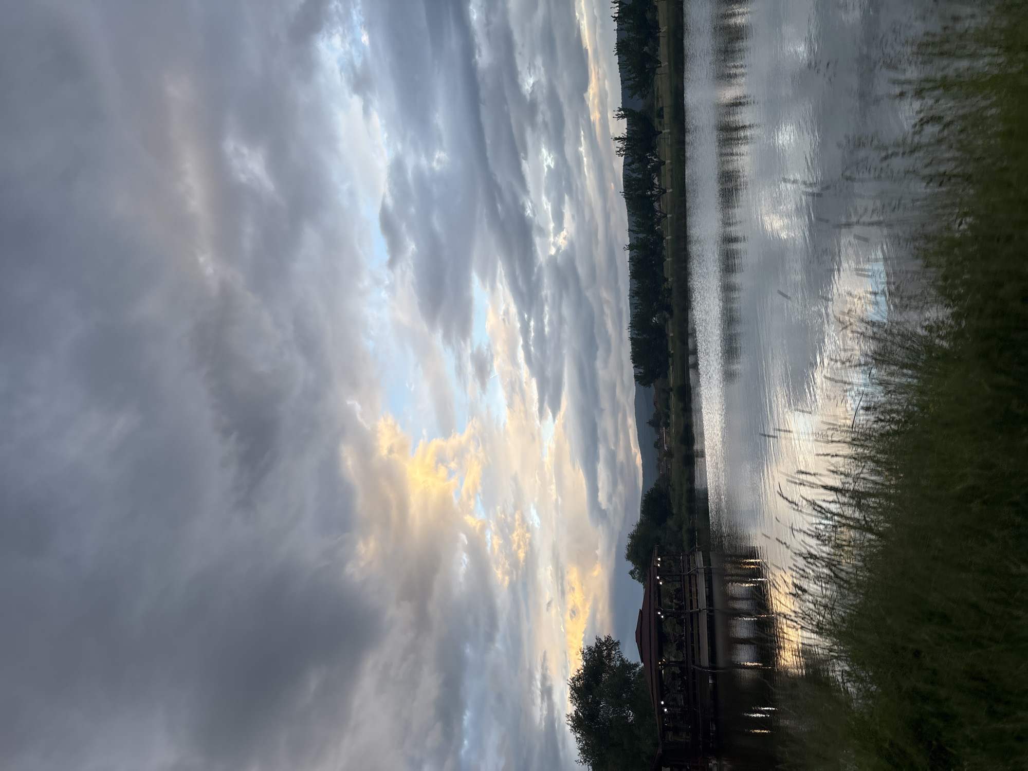 The image shows a lake scene near Doganovo, Bulgaria at dusk. The sky is filled with dramatic, layered clouds ranging in color from dark gray to light gray with patches of golden light. A line of trees marks the opposite shore of the lake, and their reflections can be seen in the water. In the foreground, tall grasses obscure part of the view on the right side. A structure, possibly a dock or gazebo, is visible along the edge of the lake on the lower portion of the image.