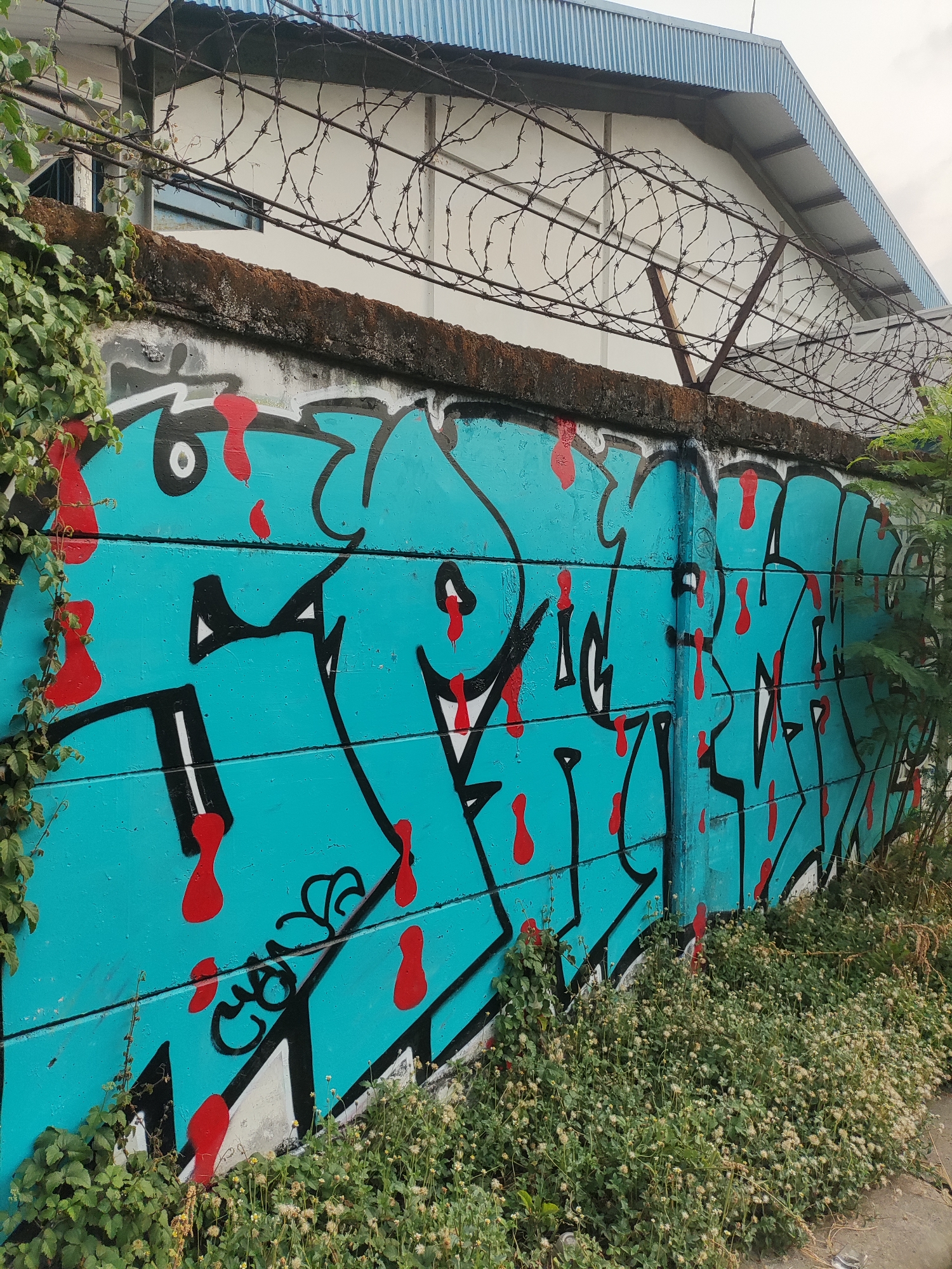 A long concrete wall, approximately 2.5 meters high, is covered in vibrant turquoise graffiti featuring black outlines and red accents resembling drips. Barbed wire runs along the top of the wall, separating it from the white-walled building behind it, which has a corrugated metal roof. Green ivy grows on the left side of the wall, and low-lying vegetation with small white flowers covers the base on the right. The scene appears to be outdoors, likely in an urban or industrial area of East Jakarta, Indonesia, given the nature of the graffiti and the surrounding structures. There are no people visible in the image.