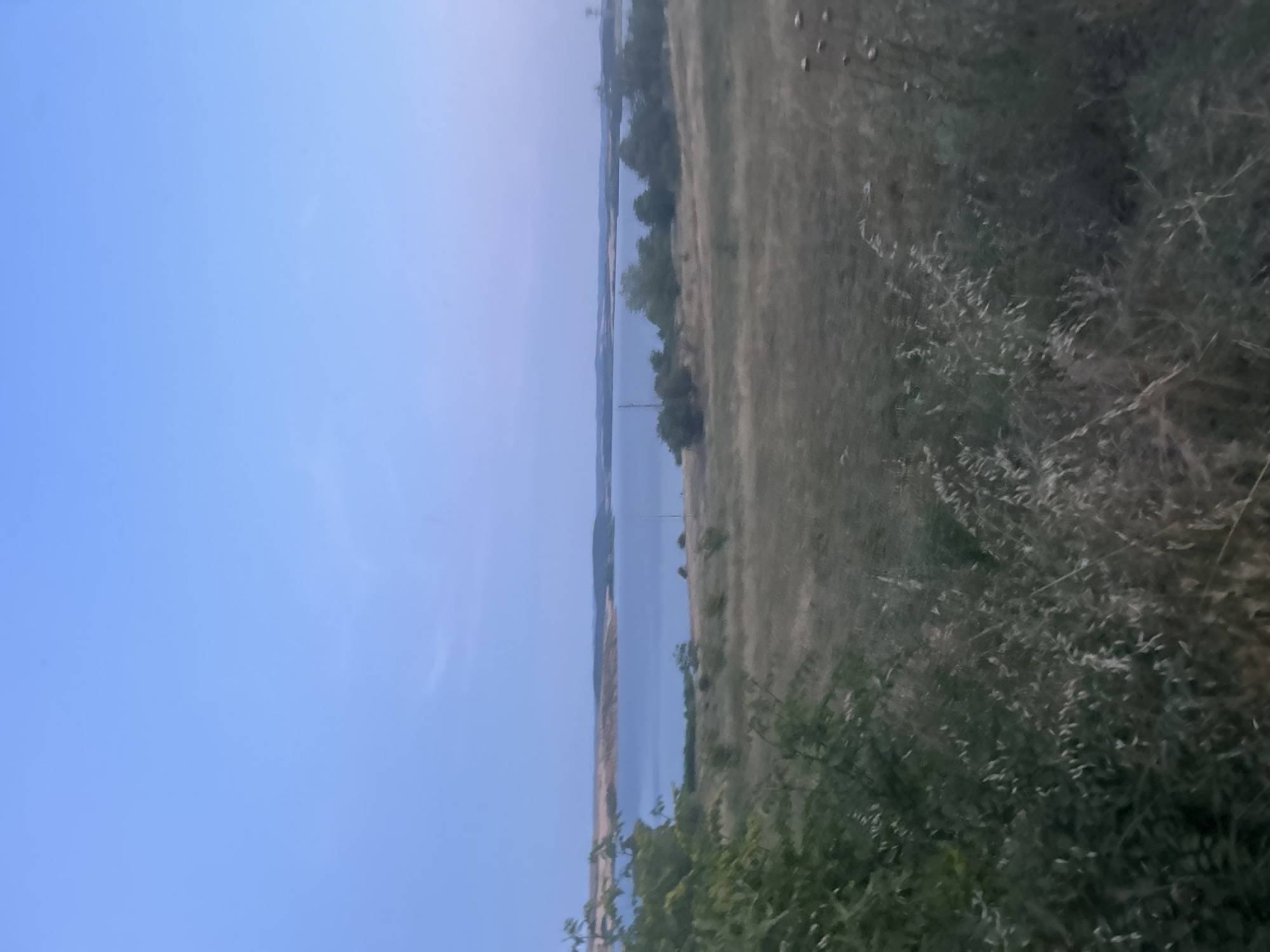 This is a photograph of a serene landscape with a wide body of water, likely a lake or reservoir, under a pale blue twilight sky. In the foreground, dry, golden grass and a few green leafy branches are visible. Beyond the grassy expanse, the water stretches out, reflecting the soft light of the fading day. The far bank of the water is lined with rolling hills covered in dry vegetation and scattered trees. The scene is calm and natural, suggesting a rural or semi-rural setting. This image is likely from the area around Lake Mandra in Burgas, Bulgaria, given the characteristic landscape of dry hills and a large body of water typical of the region. There are no people or animals visible in the image.