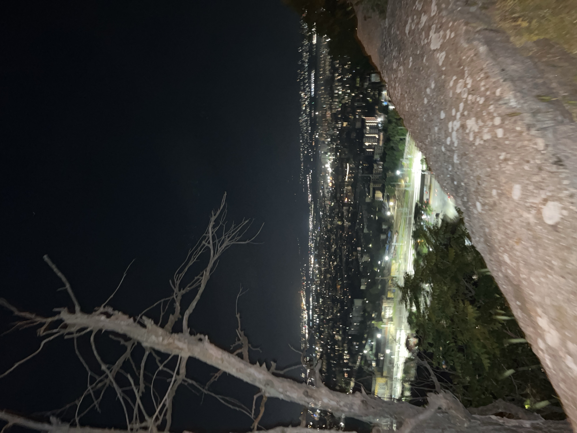 A long shot captures an aerial view of Plovdiv, Bulgaria at night. The city lights stretch horizontally across the frame, punctuated by the darkness of the sky above. The right of the frame is occupied by a large, lichen-covered tree trunk. A sparse, leafless tree branch extends from the lower left corner, silhouetted against the night sky. The city appears densely populated, with numerous buildings and streets illuminated by artificial lights.