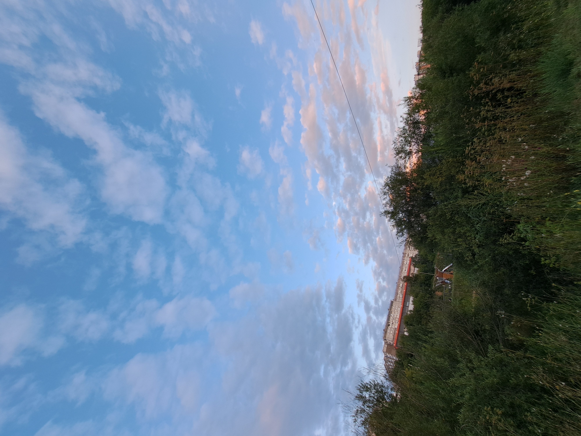 The image depicts a view of a residential area in Irkutsk, Russia, likely in the evening given the lighting and cloud colors. The foreground is dominated by dense green foliage, including tall grasses and bushes. In the mid-ground, a large, multi-story residential building with a reddish-orange roofline is visible, partially obscured by trees. The building appears to be constructed of concrete panels, typical of Soviet-era architecture. A small playground with orange structures can be seen in the vicinity of the building, further down the slope. A single power line stretches diagonally across the upper right portion of the image. The sky is a clear blue, dotted with scattered white and pinkish clouds, suggesting a sunset or sunrise. No people are visible in the image. The scene conveys a sense of urban outskirts with natural elements.