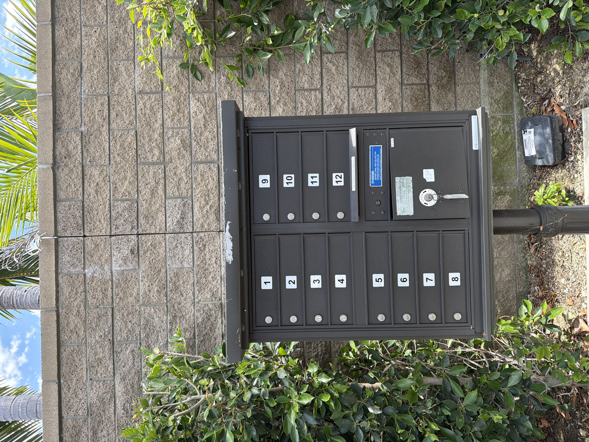 A dark gray, multi-unit mailbox stand is affixed to a textured tan brick wall. The stand is oriented vertically and features two rows of mailboxes. The top row has mailboxes numbered 9 through 12, while the bottom row displays mailboxes numbered 1 through 8. Each mailbox has a small, circular knob or latch at the bottom. Mailbox 12 has a blue and white sticker indicating "USPS OUTGOING MAIL DEPOSIT MAIL FOR COLLECTION". There's also a silver lock and handle on one of the mailboxes, suggesting it's a common mail delivery point.
To the left of the mailbox stand, a large palm tree with green fronds is visible against a bright blue sky with some white clouds. To the right and below the mailboxes, lush green bushes and foliage surround the base. The ground is covered with dirt, small rocks, and fallen leaves. There's also a black plastic receptacle with some writing on it located to the right of the mailboxes. The lighting suggests it is daytime, likely sunny, given the shadows and bright foliage. The setting appears to be an outdoor area, possibly a residential complex or public space in Irvine, USA, given the context. No people are visible in the image.