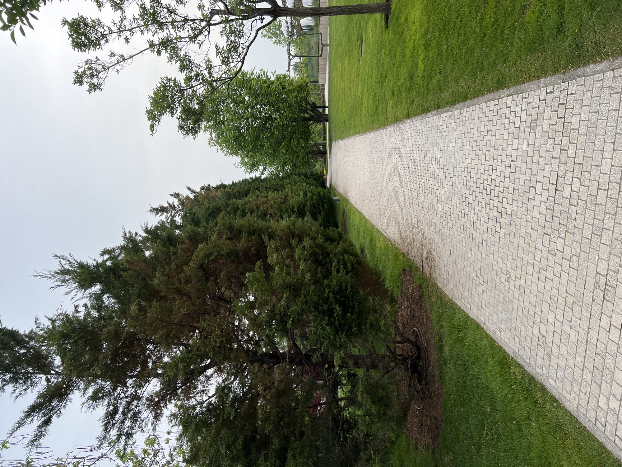 A straight cobblestone path runs into the distance, flanked by green grass on one side and a dense line of trees and bushes on the other. The sky is overcast. The location is in Krasnodar, Russia.