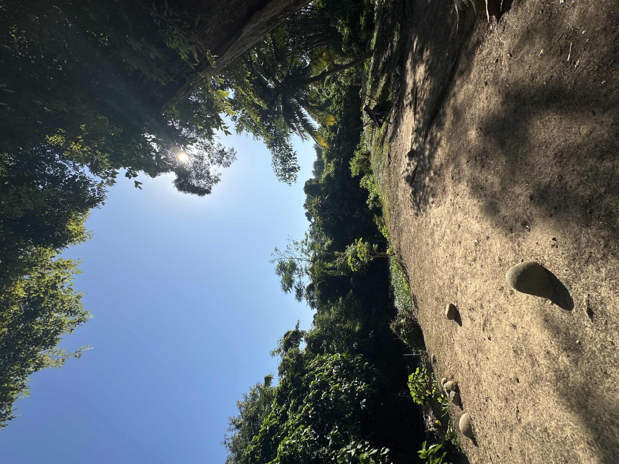 The image depicts a scene from Lhokseumawe, Indonesia, specifically an upward view from a shaded, overgrown area. Lush green vegetation, including various trees and plants, frames a bright blue sky. Sunlight filters through the leaves in the upper left corner. A rocky, textured embankment rises on the right side of the frame. Several rocks are scattered across its surface. The scene is still and appears devoid of human presence.