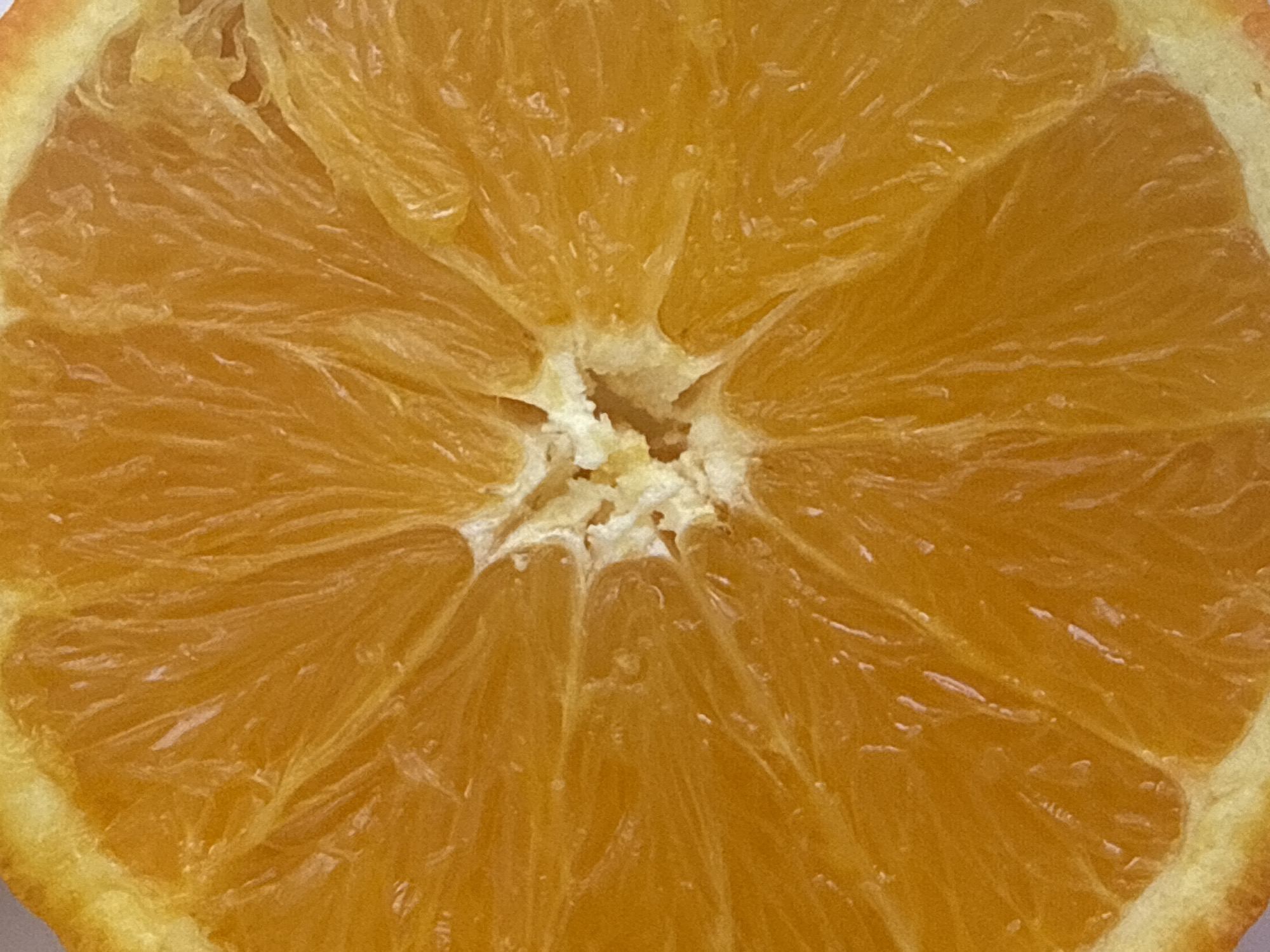 The image shows a close-up of a sliced orange. The segments of the orange are clearly visible, radiating from the center. The color is a vibrant orange, and the texture of the pulp is evident. There is no indication of this image being taken in Alanya, Turkey. There are no people, objects, actions, interactions, or environment, other than the sliced orange.