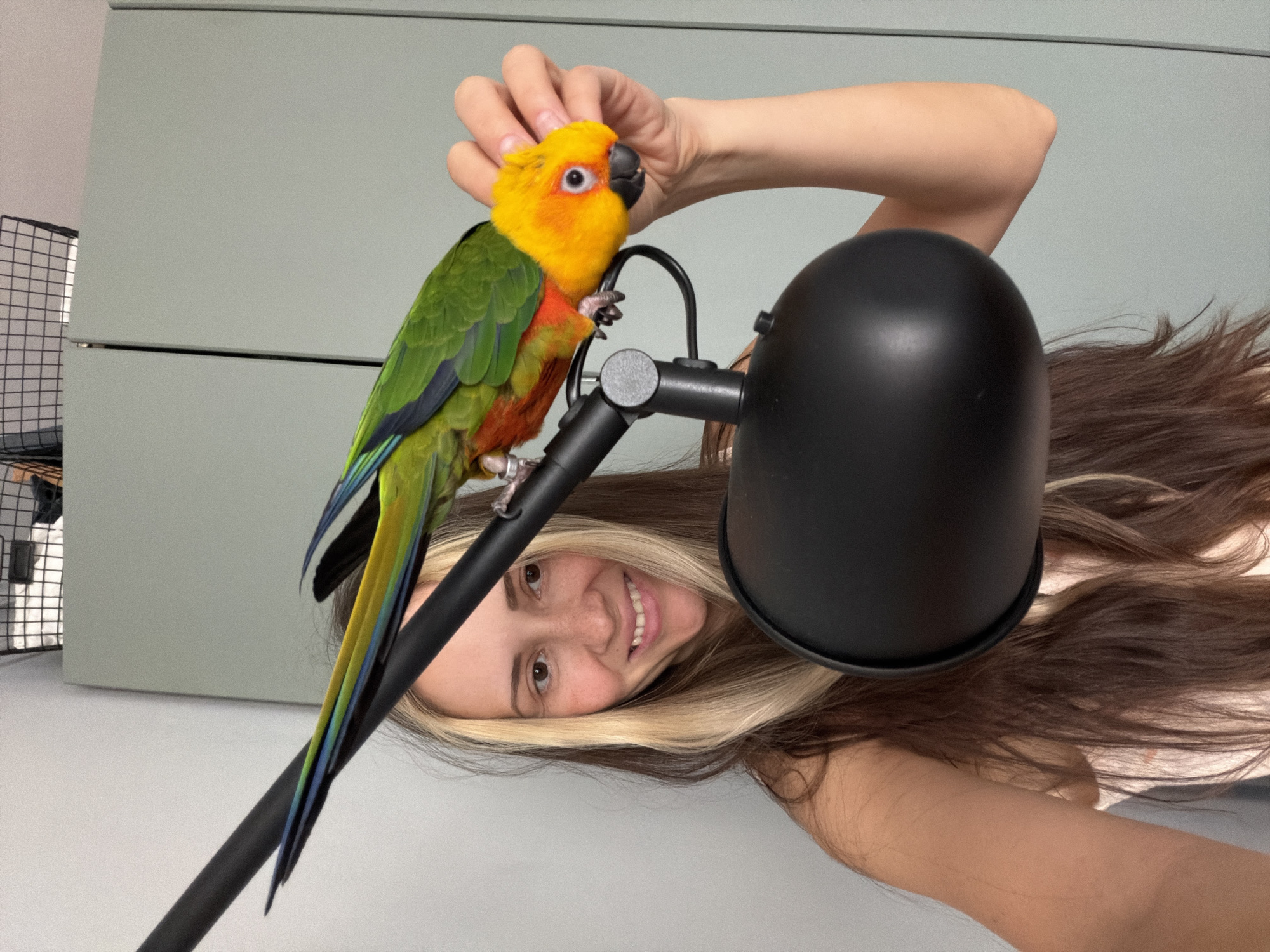 A medium shot depicts a woman holding a yellow and green parrot. The woman, who has light brown hair with blonde streaks, is smiling and positioned in the lower portion of the frame. A black desk lamp is partially obscuring her face and hair. The parrot is perched on the lamp's arm, and the woman is petting its head with her right hand. The background appears to be a light grey wall, and a black wire rack is visible on the left side of the frame. No location information can be verifiably extracted from this image.