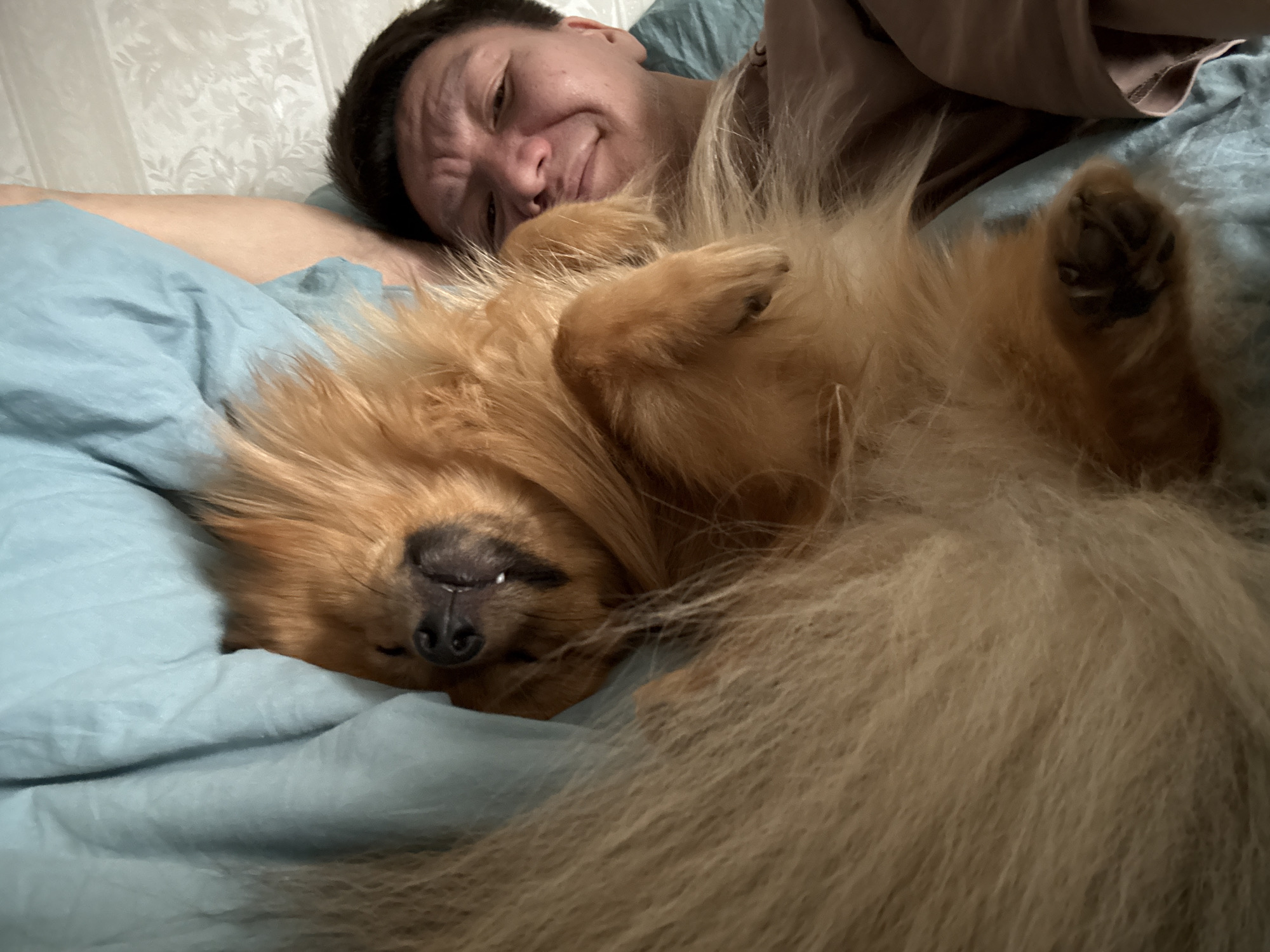 The image shows a man and a dog lying on a blue bed. The man is on his side, facing the camera with a slight smile. The dog is lying on its back, nestled against the man, with its paws in the air. The dog is light brown with a fluffy coat. The background consists of a light-colored wall with a subtle patterned wallpaper. The location is likely a domestic bedroom. There is no evidence to suggest that the image was taken in Khimki, Russia.