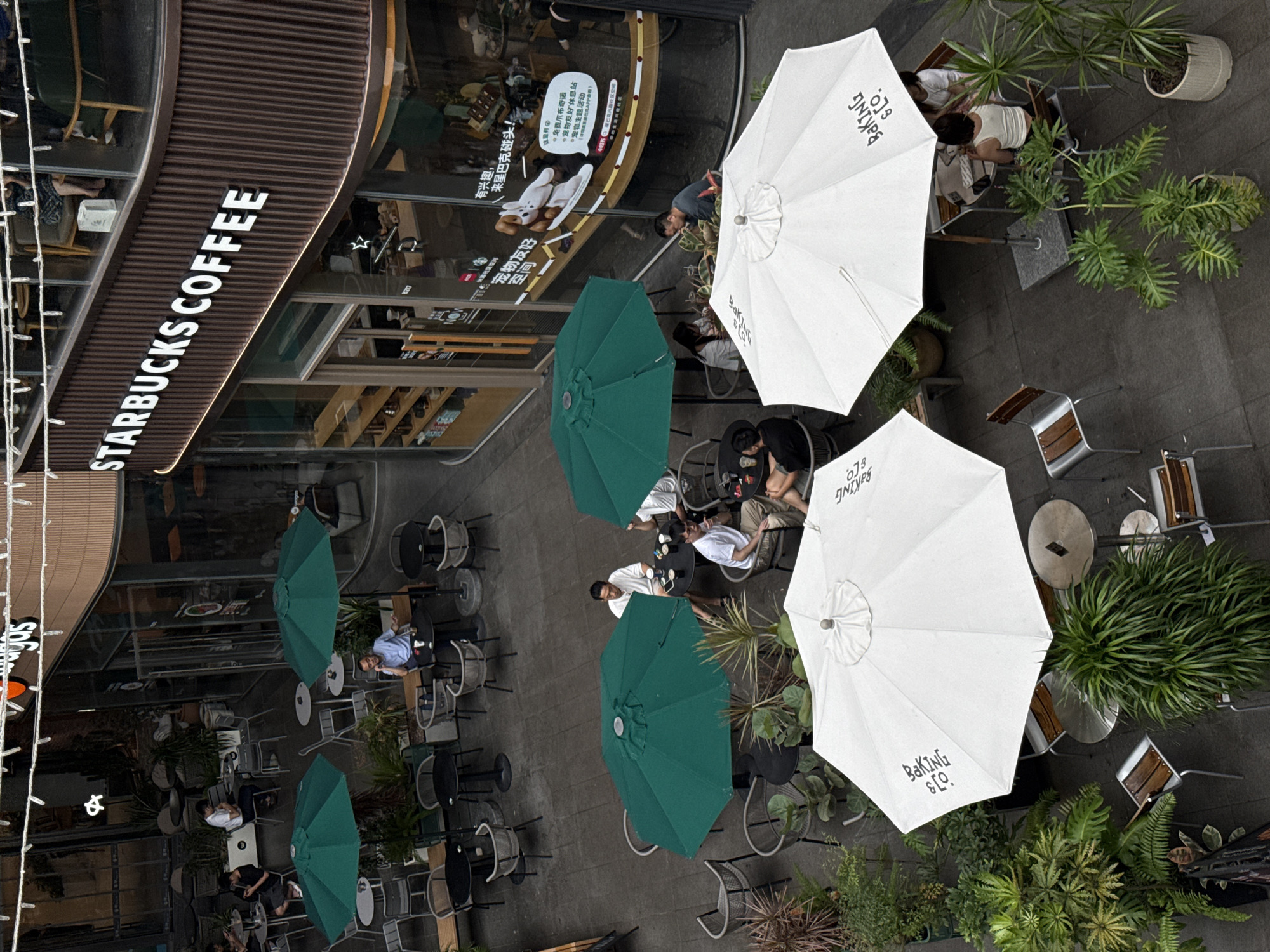 This aerial view captures an outdoor seating area of a Starbucks in Nanshan District, China, on a cloudy day. Several patrons are seated at tables, enjoying coffee and conversation under large green and white umbrellas. The Starbucks storefront, with its signature signage, is visible in the background. The scene is a mix of commercial activity and relaxation, with potted plants adding a touch of greenery to the urban setting. The ground is paved with grey tiles, and metal chairs and tables are arranged for outdoor dining. The overall atmosphere is one of casual urban life.