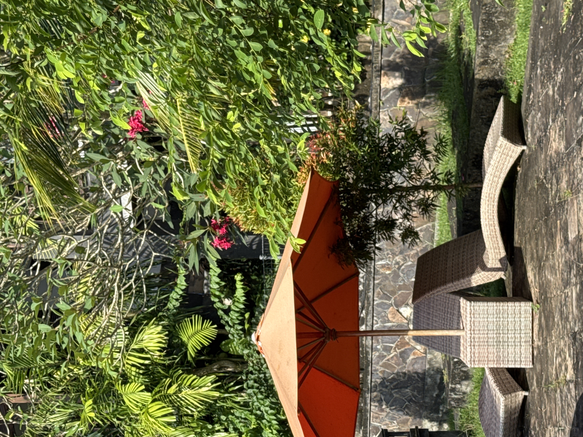 The scene depicts an outdoor setting, likely in a resort or private residence in Ungasan, Indonesia, known for its lush landscapes. The primary focus is on a patio set consisting of wicker-style chairs and a table under a vibrant orange umbrella. The patio furniture rests on a stone or paved surface, which is exposed to sunlight. To the left of the patio set, there is dense tropical vegetation, including various types of trees, palms, and flowering plants, which are typical of the Indonesian environment. The background features a stone wall, which could be part of the architecture of the surrounding buildings or a retaining wall. Overall, the scene suggests a peaceful, tropical outdoor living space within a potentially luxurious setting.