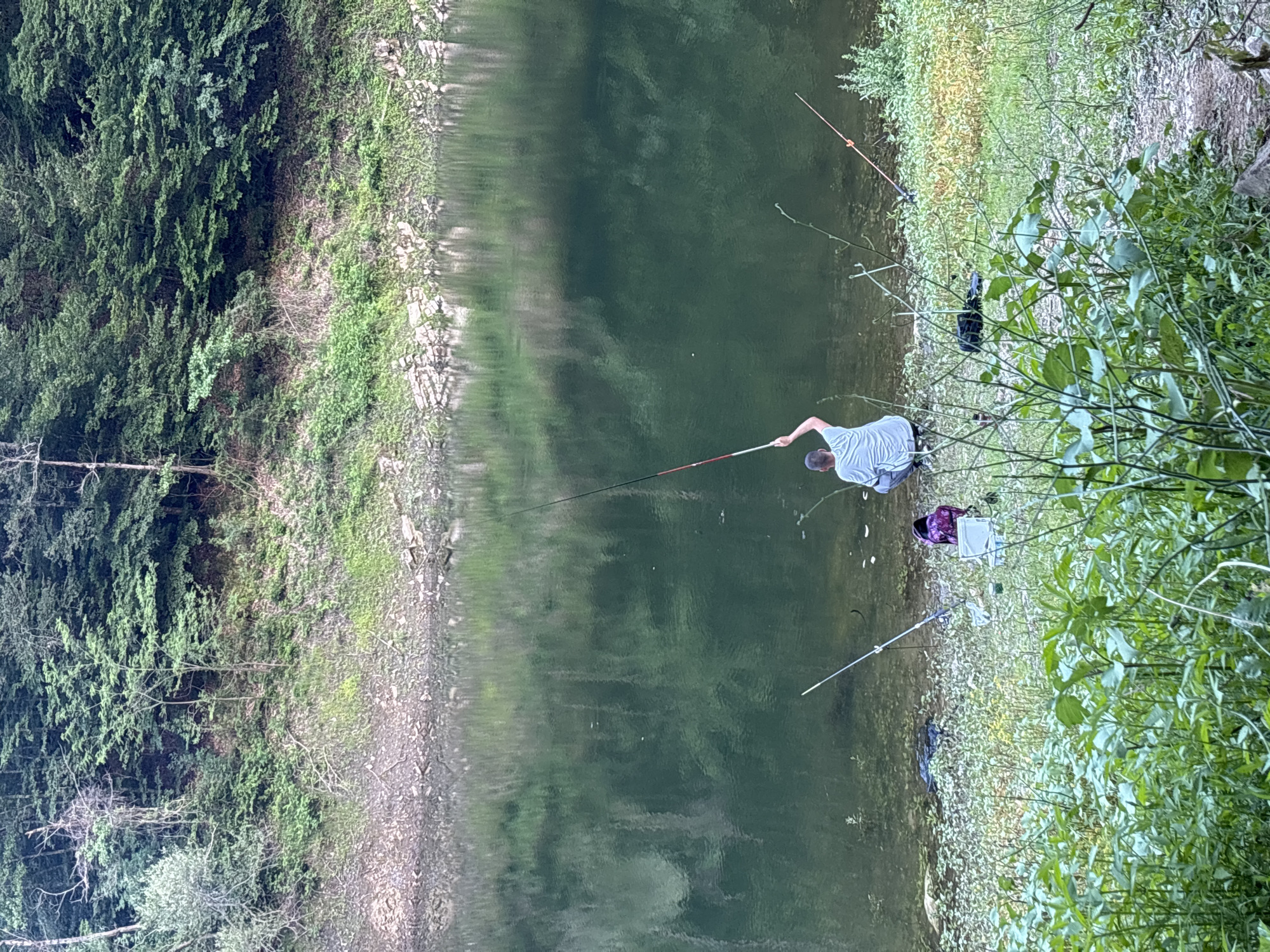 The image depicts a serene scene of people fishing by a tranquil body of water. The foreground is dominated by lush green foliage and a rocky shoreline, suggesting a natural, perhaps rural, environment. The water itself is a deep, calm green, reflecting the surrounding trees and sky, hinting at a peaceful, overcast day or early morning/late evening.
Several individuals are engaged in fishing. One person, viewed from behind, is actively casting a fishing line into the water. They are dressed in a light-colored shirt and appear focused on the task. Further along the bank, other fishing rods are visible, indicating multiple people are fishing. A purple backpack and a small white cooler or tackle box are placed on the grassy bank near the person actively fishing, suggesting they have been there for some time. The overall atmosphere is one of quiet recreation and connection with nature.
The location is identified as Alamovtsi, Bulgaria. The densely vegetated bank and the calm water are characteristic of a lake or a slow-moving river in a wooded area. The time of day is difficult to pinpoint precisely due to the diffused light, but it appears to be either early morning or late afternoon, when the light is softer and reflections are prominent. There is no visible text in the image.