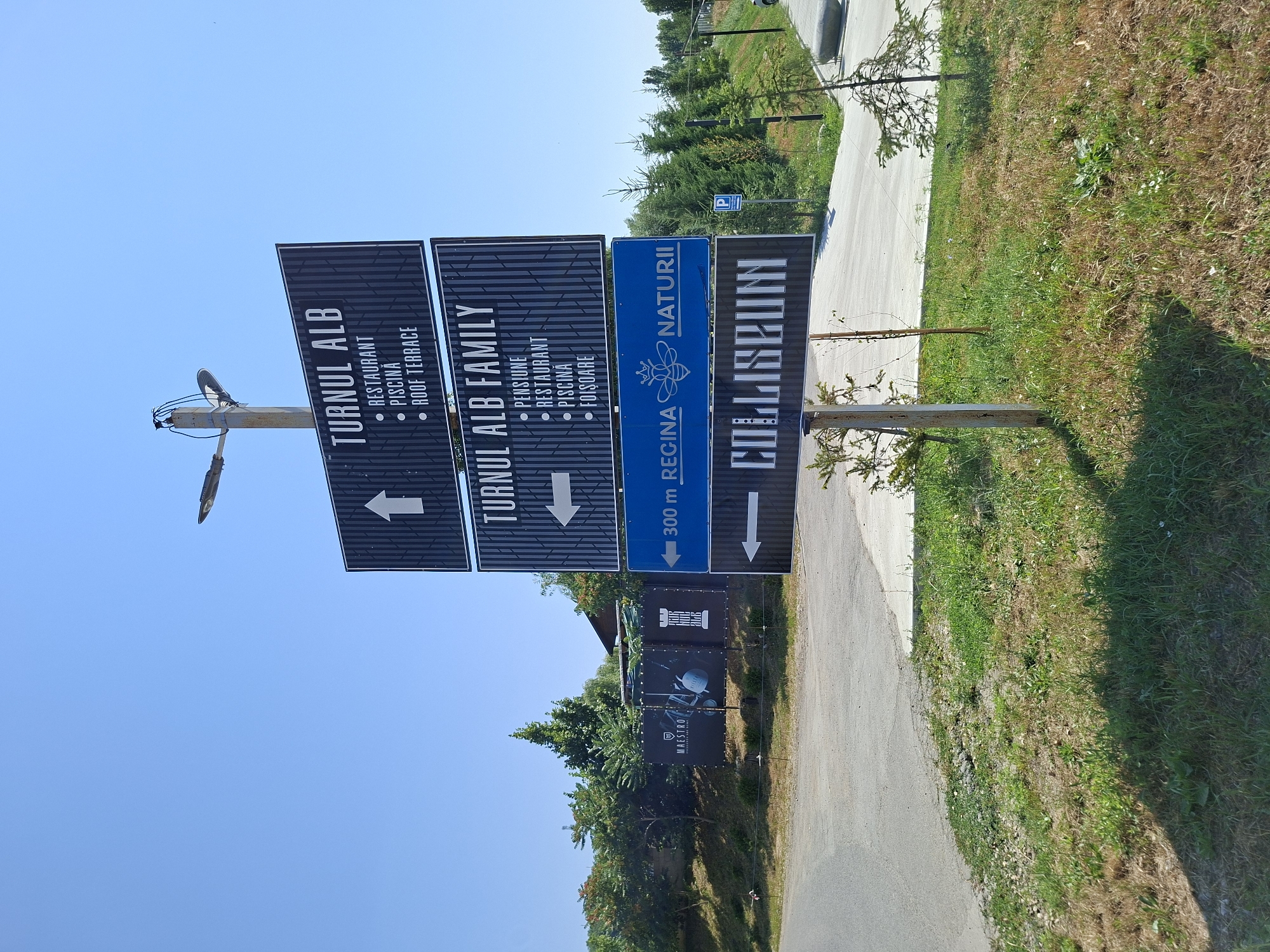 A tall signpost stands in a grassy area next to a road. The signpost has four rectangular signs stacked vertically. The top sign, with a white arrow pointing up, reads "TURNUL ALB" and lists "RESTAURANT", "PISCINA", and "ROOF TERRACE". The second sign from the top, with a white arrow pointing left, reads "TURNUL ALB FAMILY" and lists "PENSIUNE", "RESTAURANT", "PISCINA", and "FOISOARE". The third sign, a blue rectangular sign with a white arrow pointing left, reads "300 m REGINA NATURII" and features a bee emblem. The bottom sign, with a white arrow pointing left, reads "COLLISEUM". To the left of the signpost, there are two large banners on display. The banner on the left is dark and features the text "MAESTRO" and images of bottles and a chess piece. The banner on the right is also dark and features a chess piece. In the background, there are trees, a building, and a blue sky. A street lamp is attached to the top of the signpost. A parking sign is visible in the distance to the right. The road appears to be asphalt, and the ground around the signpost is covered in grass and some gravel.