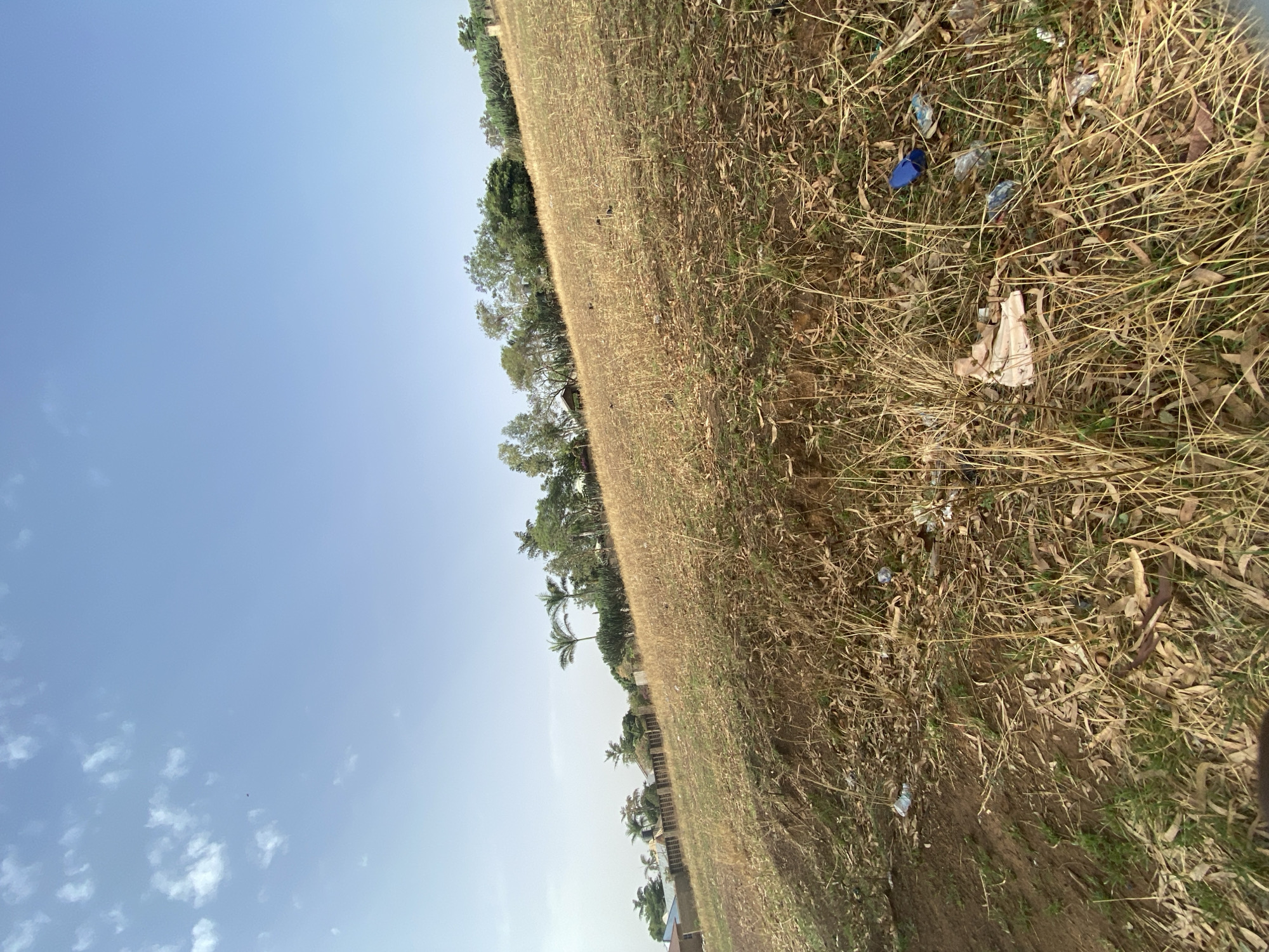 The image depicts a dry, grassy field in Bukuru, Nigeria. The sky is clear blue with scattered clouds. There are trees and what appears to be buildings along the horizon. Litter is scattered on the ground. No people are visible.