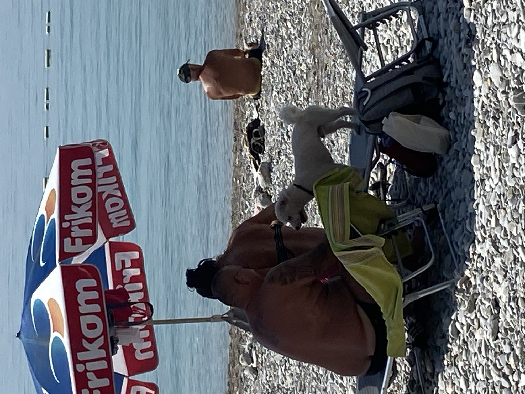 A group of people and a dog are on a pebble beach in Prijevor, Montenegro, near the water. A large, striped umbrella with the word "Frikom" printed on it provides shade for some of them. In the foreground, a man with tattoos sits on a beach chair, partially obscured by a yellow towel. Next to him, a woman is seated with her back to the camera. A small white dog stands on a chair, looking towards the woman. In the middle ground, a man sits on the beach facing away from the camera. Further in the background, a person is seated on the beach. The water is calm and blue, with a few buoys visible on the surface. There are beach chairs and bags scattered on the shore.