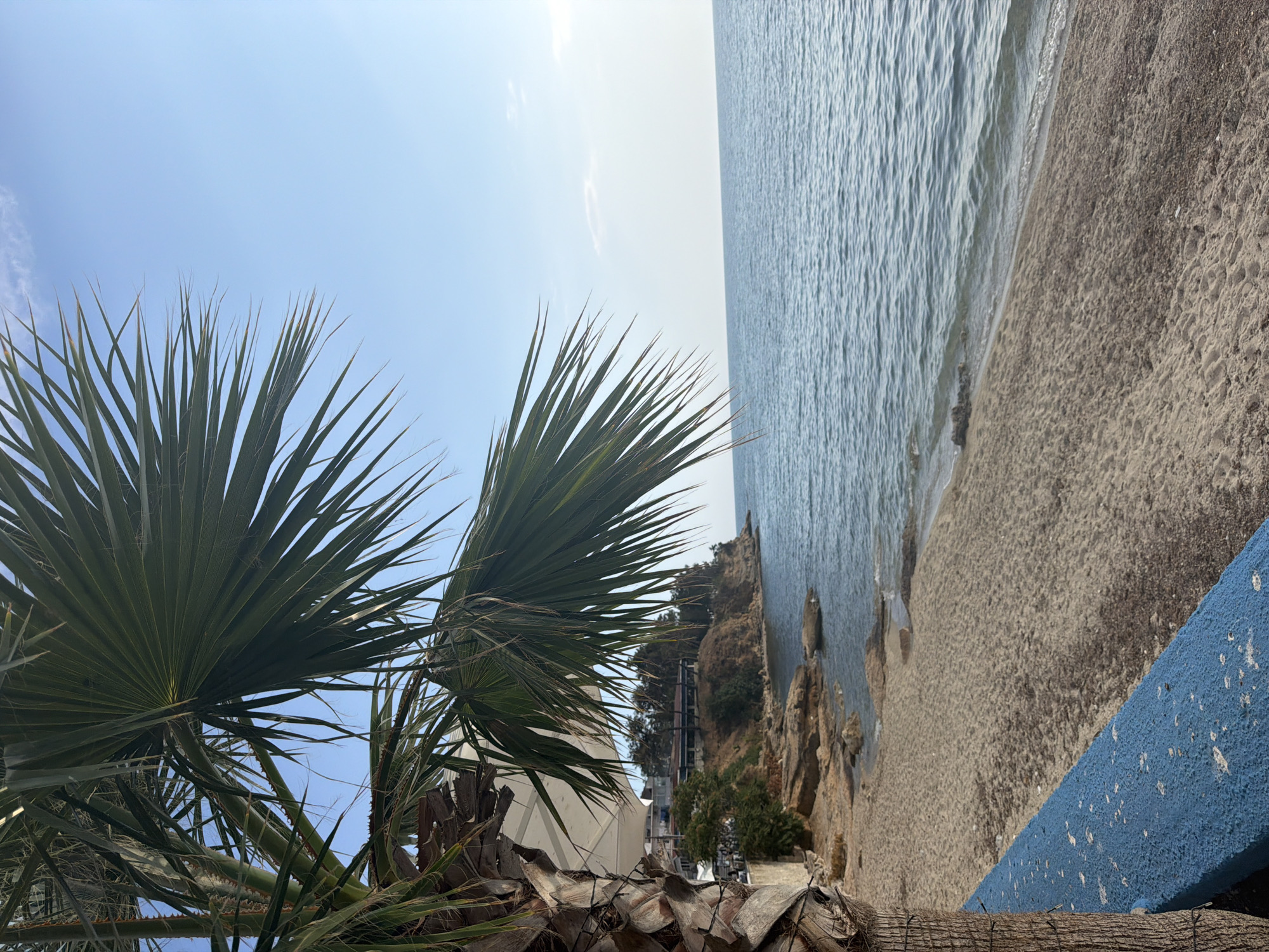 The image depicts a coastal scene in Fanari, Greece. In the foreground, a textured palm tree trunk is visible on the left, with a vibrant blue railing running diagonally across the bottom. Beyond the railing, a sandy beach stretches along the water's edge. The sea is a calm, blue expanse with gentle waves lapping at the shore. Rocky outcrops are scattered along the coastline, and further inland, a cliffside is covered with trees and vegetation. Buildings with white awnings are nestled amongst the trees on the cliff. The sky is clear and bright blue, with a few wispy clouds in the distance. The overall impression is a serene beach view on a sunny day.