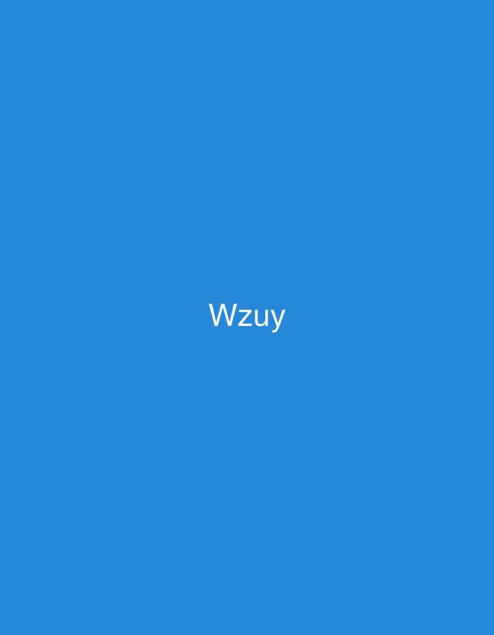 The image displays the white text "Wzuy" centered on a solid blue background. No other subjects, objects, people, actions, or environmental details are present in the image. There is no information within the image to indicate a location such as Casablanca, Morocco, or any specific real-world scene.
