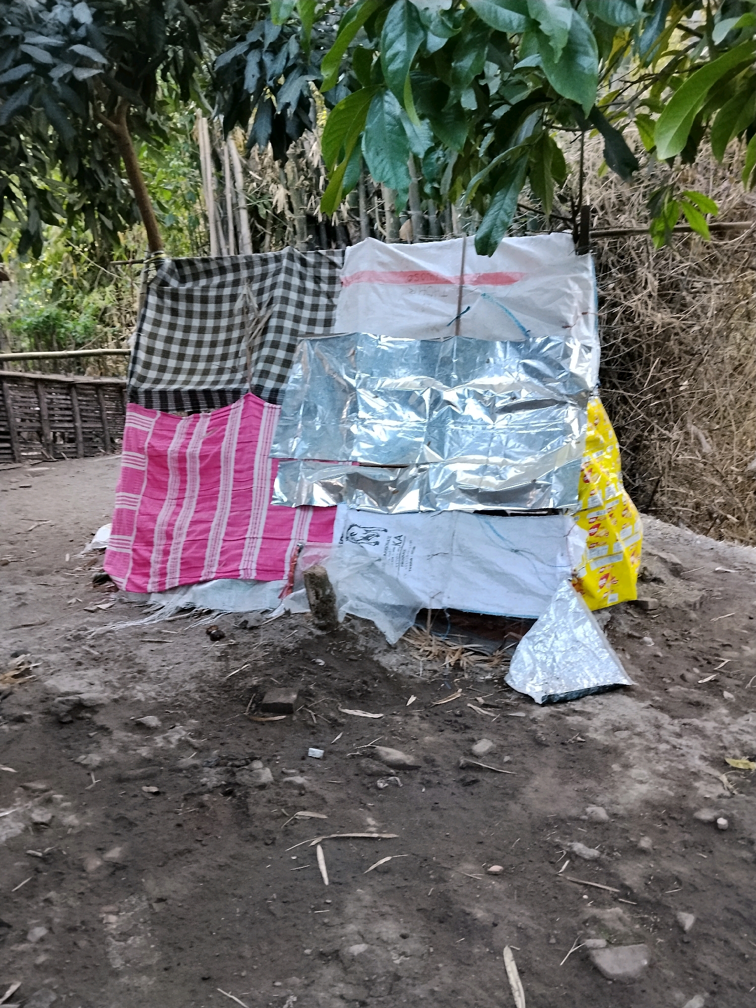 In Kejawan, Indonesia, an outdoor scene depicts a temporary structure made of assorted materials, including a checkered cloth, a pink and white striped textile, and reflective silver sheeting, possibly tarps or emergency blankets. These materials are draped and layered, forming a makeshift shelter or enclosure against a backdrop of dry, brown vegetation and bamboo poles. The ground is uneven and consists of dirt and scattered debris, with some small stones and dried leaves. The overall impression is one of resourcefulness in a rural or undeveloped setting.