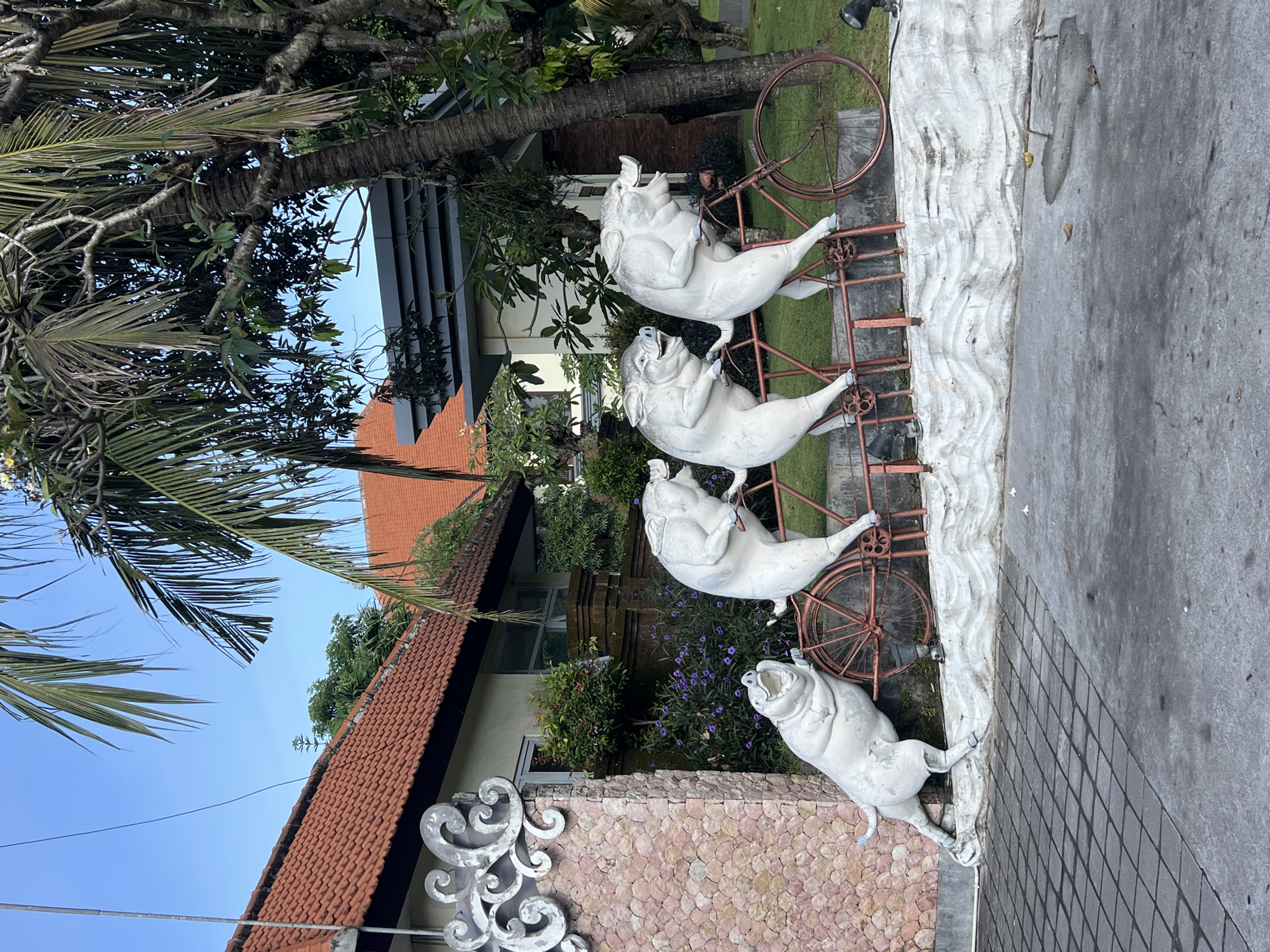 This image depicts a whimsical sculpture of four white pigs on a tandem bicycle, positioned in front of a building with a red tile roof. The sculpture is located in Sukawati, Indonesia. The pigs appear to be pedaling in unison, with one pig at the very front pushing off the ground with its hind legs, suggesting motion. The bicycle is a rusty red color and has two large wheels. The scene is set outdoors, with lush green trees and foliage in the background, including palm trees. The ground is paved with a patterned gray material. The building behind the sculpture has a decorative stone wall on the left and an ornate metal flourish above it. The sky is a clear blue. The overall impression is one of playful artistry within a tropical environment.