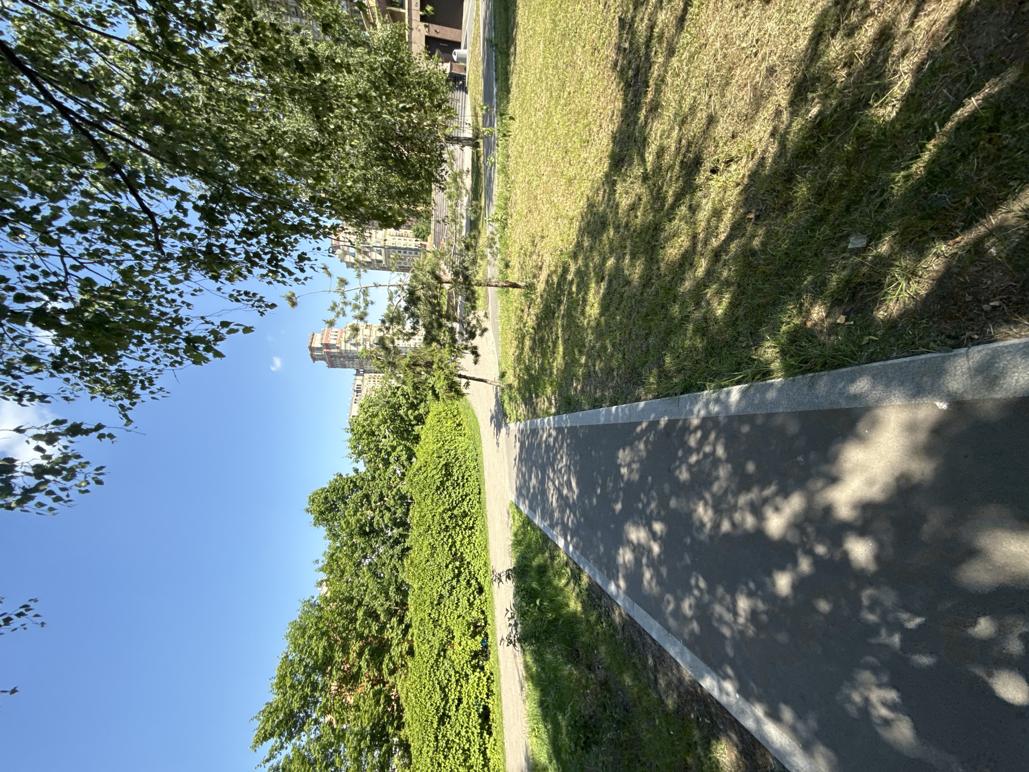 This image captures a bright, sunny daytime scene in a park or green space within an urban environment, identified as Moscow, Russia. The perspective is tilted, but when oriented correctly, it shows a paved pathway winding through the landscape with green areas on either side.
In the foreground and midground, a dark paved path, possibly for pedestrians or cyclists, stretches into the distance, bordered by a lighter concrete edge. Large, dappled shadows from unseen trees overhead fall across a significant portion of the path and the adjacent grassy areas, indicating strong sunlight. To the right of the path, a patch of grass appears green but somewhat dry. To the left, a dense line of lush green bushes and trees forms a verdant wall. Further back, more trees with varied foliage, including some taller deciduous trees and smaller evergreen saplings, are visible.
The sky, visible above the trees and bushes, is a clear, bright blue with no clouds, reinforcing the sunny weather. In the background, partially obscured by the trees and distant foliage, several multi-story residential or commercial buildings can be seen, providing a clear urban setting. No people or activities are visible, suggesting a peaceful moment in the park. No text is discernible anywhere in the image.