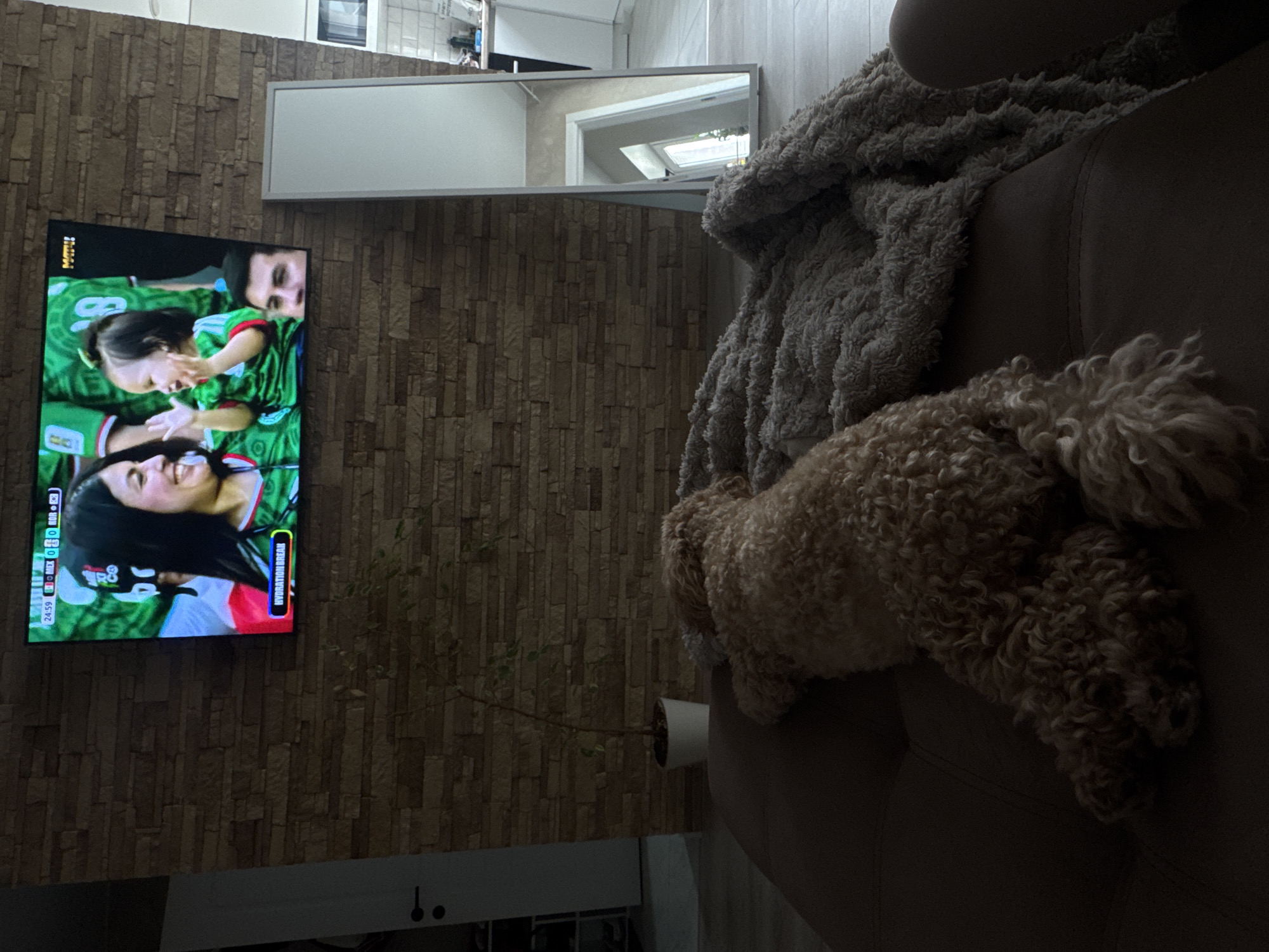 A medium-shot of a living room scene, featuring a large television displaying a soccer match with a "HYDRATION BREAK" graphic at the bottom left. A light brown, curly-haired dog is lying on a dark brown sofa covered with a grey blanket. The wall behind the sofa and TV is textured with stacked stone tiles. To the right of the TV, a full-length mirror leans against the wall. A small potted plant is visible on the floor between the sofa and the TV. The flooring appears to be light-colored tiles. The lighting suggests it is indoors, possibly in the evening or a dimly lit room.