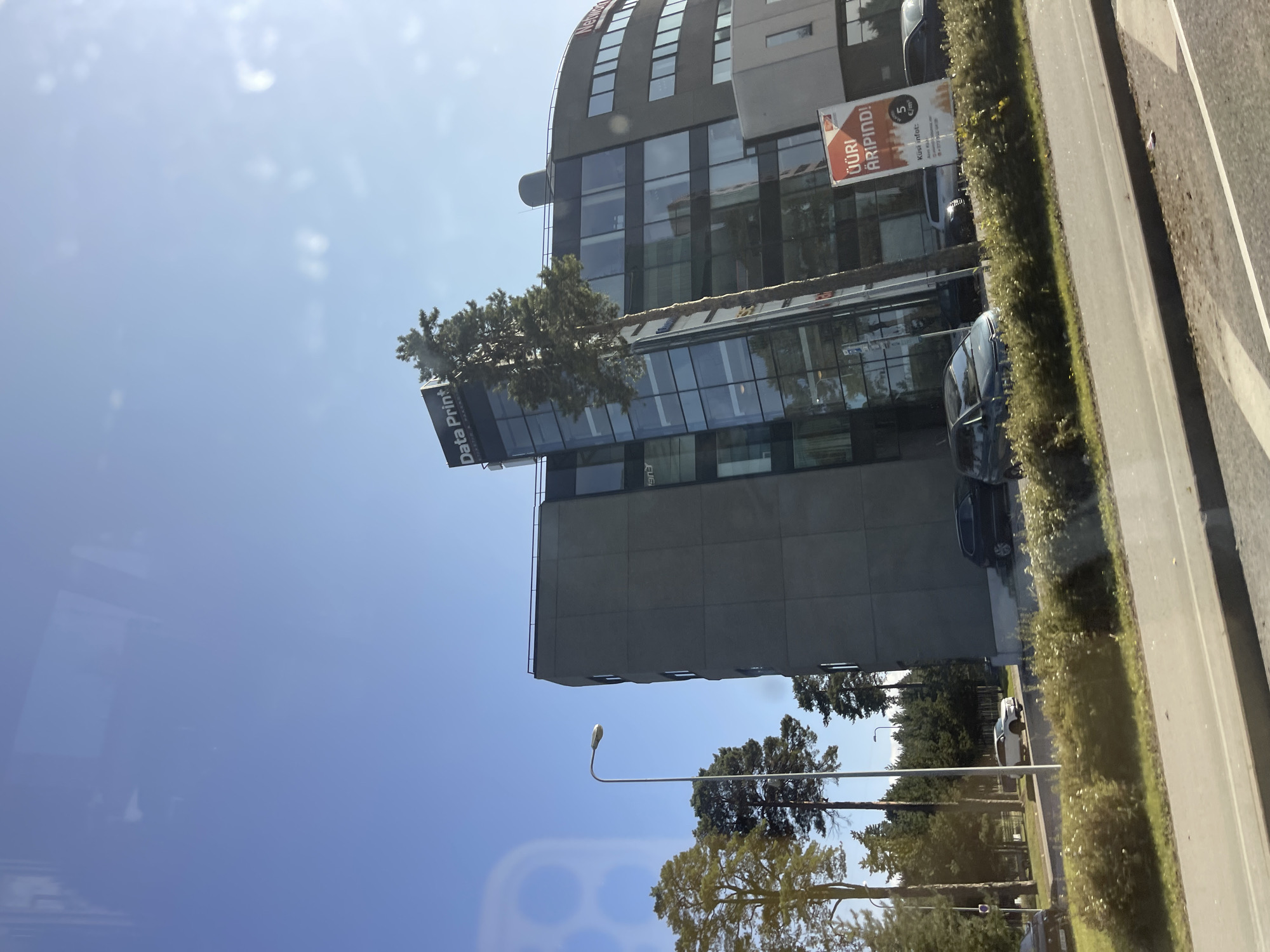 The image captures a modern office building with a curved facade, featuring large glass windows and a gray concrete exterior. The building bears the signage "Data Print" at the top. A tall, slender pine tree stands prominently in front of the building, partially obscuring the glass facade. To the left of the building, several mature pine trees and a street lamp are visible. The scene appears to be in a commercial or business district, with cars parked or driving in front of the building. A billboard with text in a foreign language and a price is also present in front of the building. The sky is clear and blue, indicating a sunny day. The overall setting suggests an urban environment in Tallinn, Estonia, likely a business park or a similar development area.