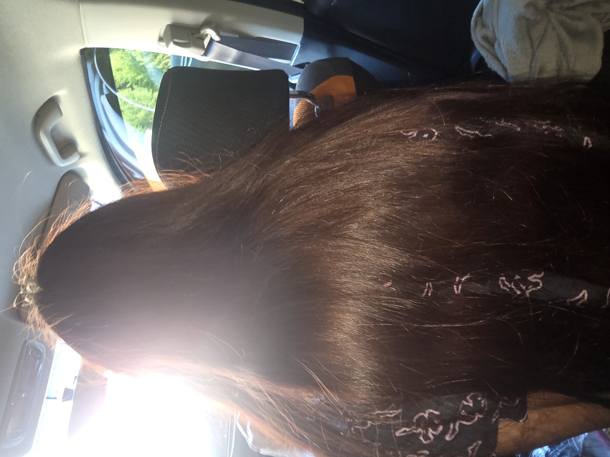 A back view of a person with long, dark brown hair sits in the back seat of a vehicle. The person is wearing a dark blue garment with a light pink floral pattern. The sun shines brightly from the left, creating a lens flare that obscures the face and the upper part of the hair. In the background, a headrest of a car seat is visible, with an orange accent. The interior of the car is dimly lit, with sunlight streaming in from the side windows, illuminating the hair. The environment outside the window shows blurred green trees. The image does not contain any information about the city of Turka, Russia.