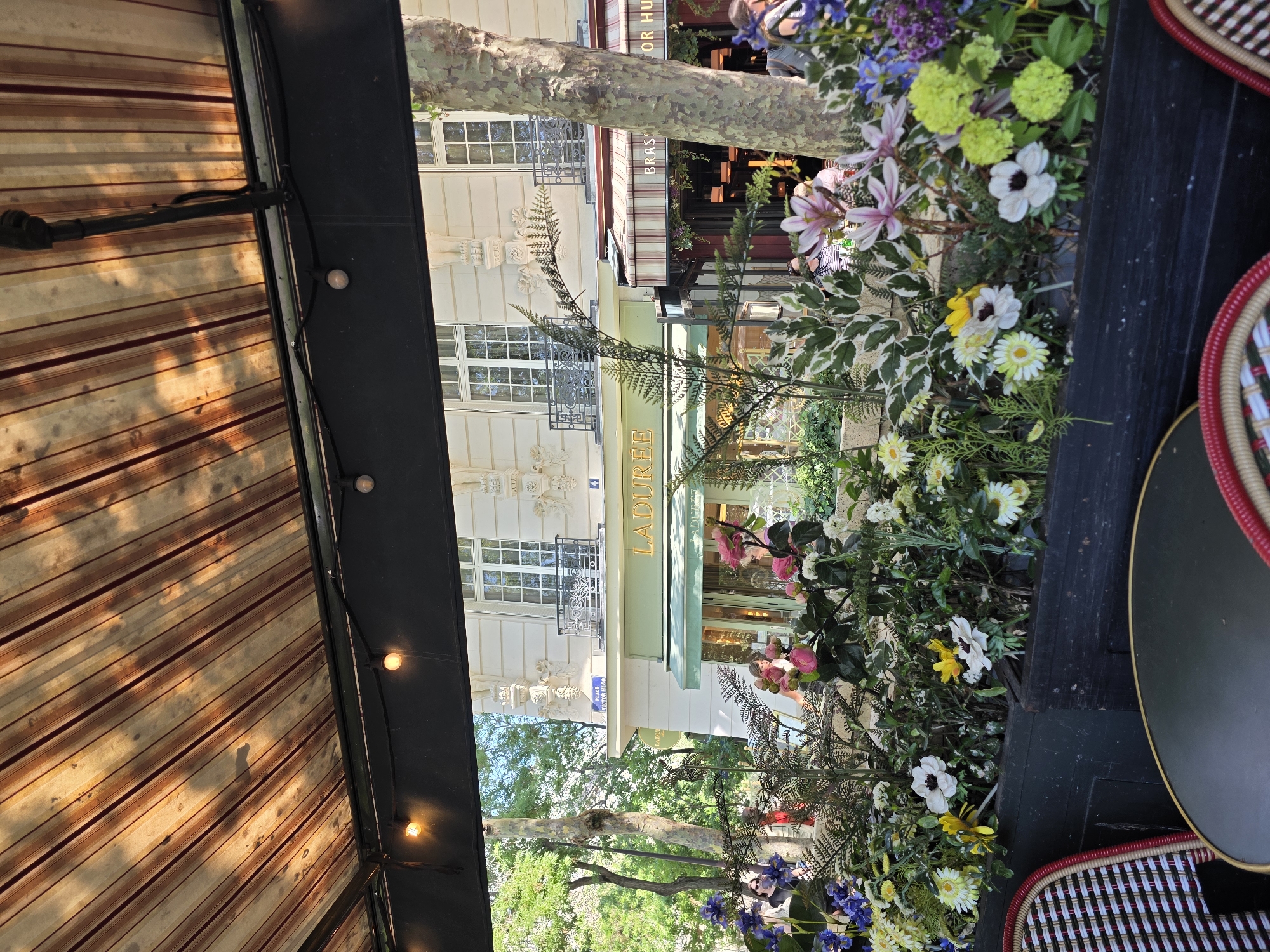 An exterior shot captures the facade of Ladurée, a renowned pastry shop located at 75 Avenue des Champs-Élysées in Paris, France. The image is taken from a seated perspective, likely from an outdoor cafe area, looking towards the building. A striped awning, illuminated by dappled sunlight, covers the foreground. Below the awning, a dark structure holds a profusion of artificial flowers, predominantly white, yellow, and pink, with accents of blue and purple. The flowers obscure a portion of the building's ground floor.
The Ladurée shop features a green awning with the brand name in gold lettering. Behind it, large windows and ornate architectural details on the building are visible. To the right of Ladurée, a brasserie with a red and white striped awning is also present. The street is lined with trees, and lampposts are visible. In the mid-ground, several people are seen in front of and inside the shops, suggesting a busy atmosphere. The overall impression is that of a vibrant Parisian street scene, with a focus on the iconic Ladurée establishment.