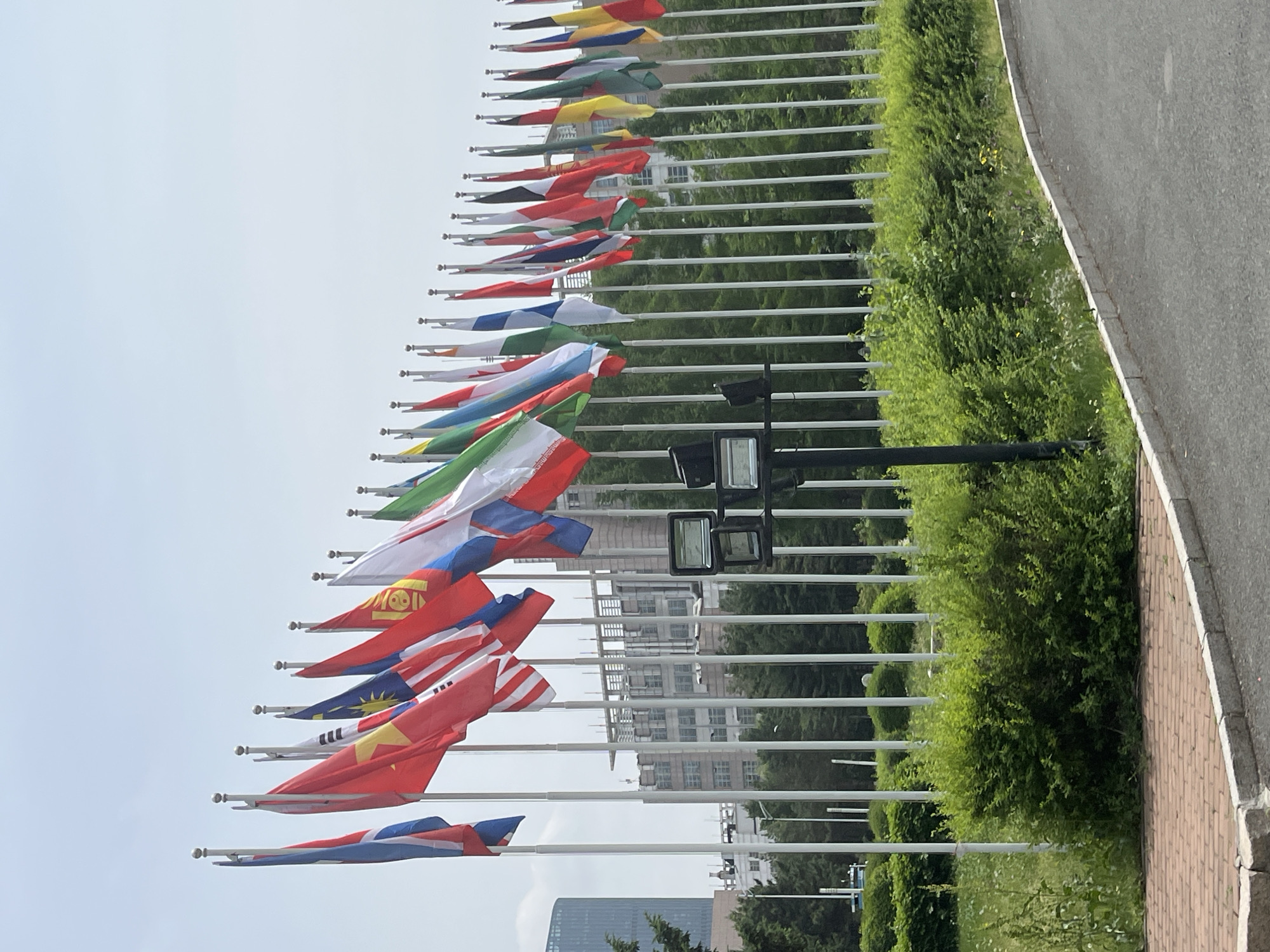 The image shows a row of flagpoles with various national flags flying in Changchun City, China. A row of green bushes borders a paved road on the right side of the frame. In the background, buildings are visible through the spaces between the flagpoles. A street lamp is located close to the flags. The flags appear to be arranged in a line. The sky is overcast.