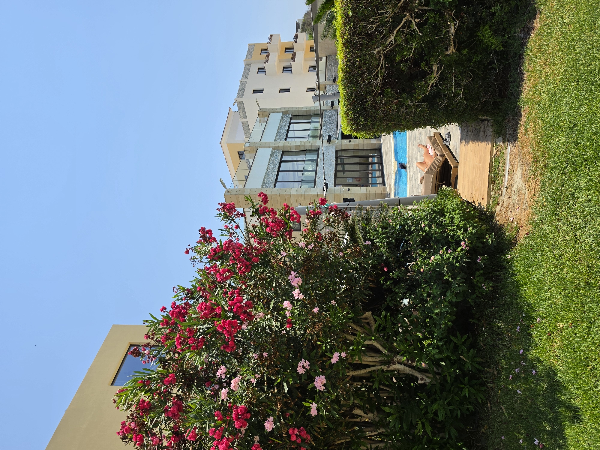 The image shows a sunny day in Hlorakas Community, Cyprus, with a clear blue sky. In the foreground, a lush green lawn leads to a pathway bordered by dense green bushes and a vibrant flowering bush with pink and red blooms. To the right, a manicured hedge runs alongside the pathway.
Further into the scene, a modern building with a light-colored facade, glass windows, and balconies is visible. Next to it, a taller, cream-colored building with multiple balconies stands. Between these structures, a bright blue swimming pool is situated. A person is lying on a lounge chair on a wooden deck next to the pool, enjoying the sun. There is a dark object in the pool, possibly a person swimming. The overall environment suggests a resort or residential area with a focus on outdoor leisure.