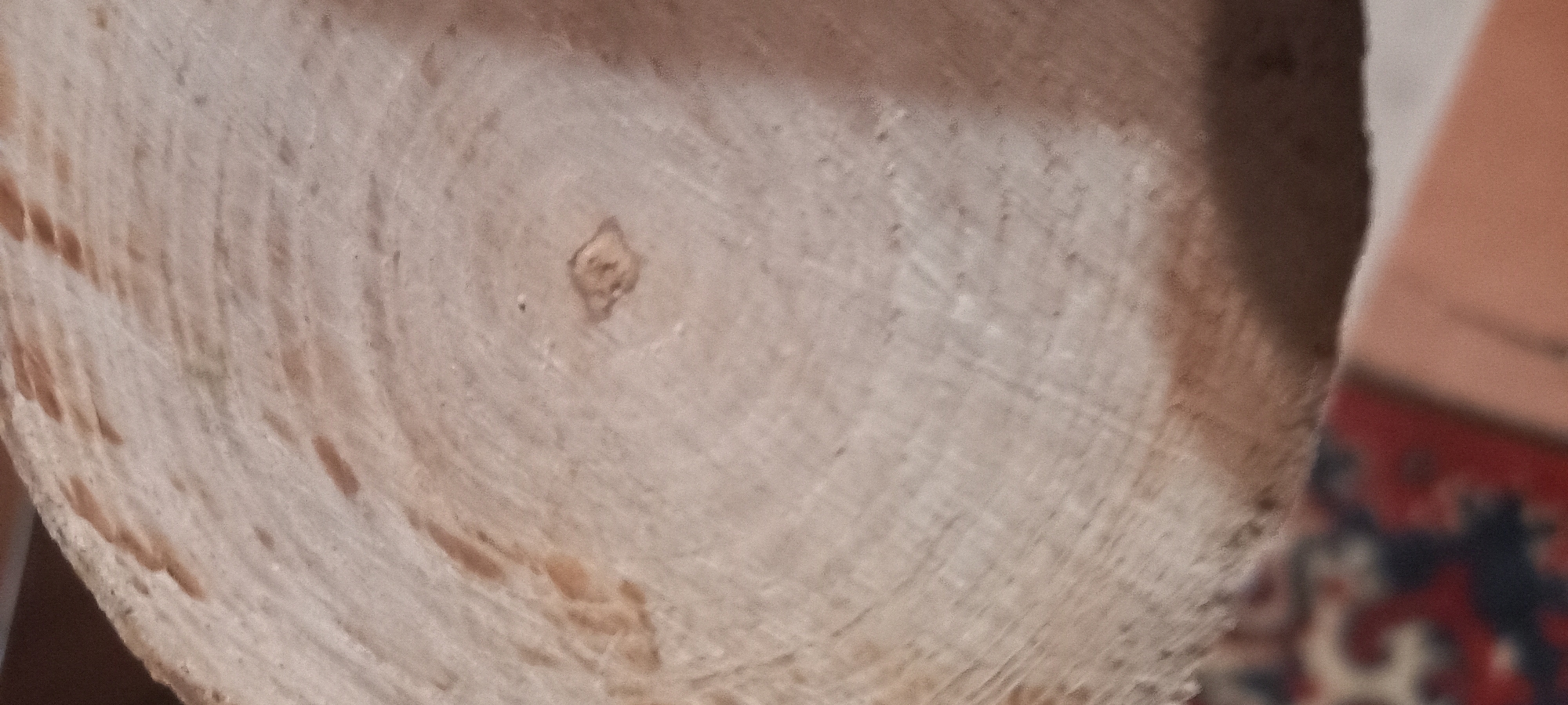 The image displays the cross-section of a tree trunk. The surface exhibits concentric growth rings characteristic of wood, with a light brown to beige color. Scattered darker brown flecks and stains are visible, suggesting natural variations in the wood's composition or potential imperfections. The texture appears rough, with visible grain lines. In the center of the cross-section, a small, somewhat diamond-shaped darker area is present, likely representing the pith or a knot. The surrounding area shows a blurred background with hints of a patterned rug or fabric in muted colors of red, black, and beige, and a patch of skin-toned color, possibly from a person or furniture. The overall lighting is subdued, creating soft shadows. No specific location in Kryvyi Rih, Ukraine, can be identified from the provided image.