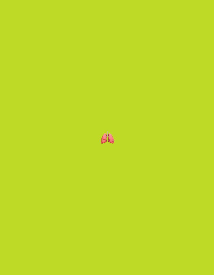 The image displays a stylized digital illustration of human lungs against a uniform, solid lime green background. The lungs are depicted in a pinkish-red hue, featuring distinct lobes and a visible tracheal/bronchial structure at the superior aspect. They are centrally positioned within the frame, occupying a small proportion of the overall image area, slightly below the vertical midpoint. The background is devoid of any other elements, textures, or gradients. There are no people, other subjects, objects (besides the lungs), or actions discernible within the scene. The image presents an abstract, two-dimensional graphic. There is no visual information within the image itself to connect it to the city of Santa Ana, Venezuela; however, if observed within Santa Ana, Venezuela, these described visual characteristics would remain constant.