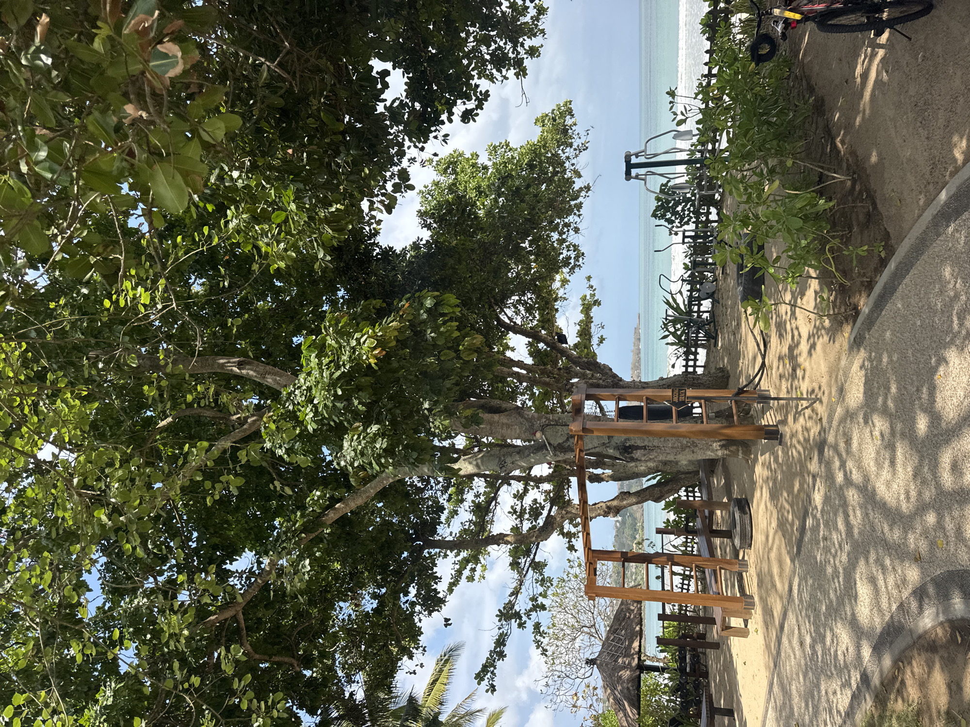 The image depicts an outdoor gym area situated on a sandy beach, with the ocean and a clear sky in the background. The gym features a wooden pull-up bar structure with benches and tires. Adjacent to the gym, there are additional exercise machines and a bicycle. A thatched-roof umbrella and palm trees are also visible, contributing to the tropical ambiance. The scene is bathed in sunlight, casting shadows on the ground. The location is identified as Kuta Selatan, Indonesia, suggesting a coastal resort or public beach area. No people are present in the immediate vicinity of the gym.