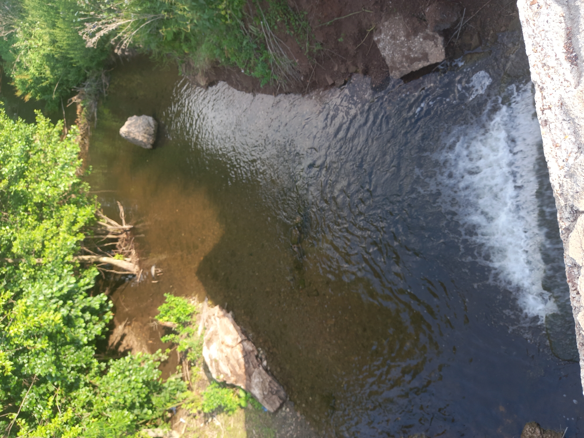 The image shows a view from above of a small, shallow river flowing through a wooded area. The water is brown and murky, with a rocky bottom visible in some areas. There is a large, grey rock in the middle of the river, and a small waterfall at the bottom of the frame. The banks of the river are lined with green trees and bushes, and some dry grasses. A concrete structure is visible along the bottom edge of the image, suggesting it might be a bridge or a dam. The scene is tranquil and natural, with no signs of human activity except for the concrete structure. It's impossible to determine the specific location within Sterlibashevo, Russia from the image alone.