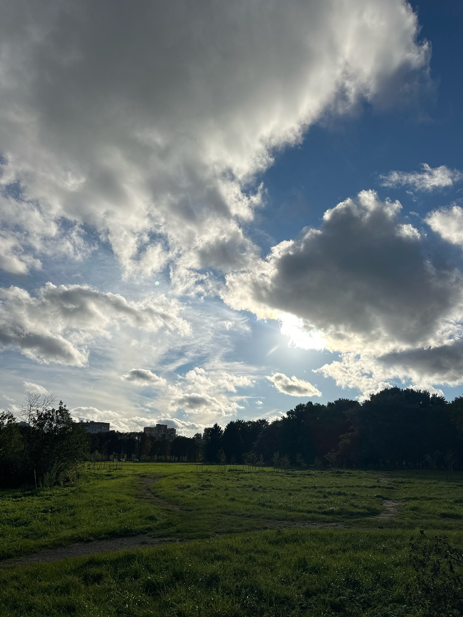 This is a vertical, eye-level shot of a grassy field with a treeline in the background, under a dramatic, cloudy sky. The sun is partially obscured by large, dark gray clouds, but its light shines through in rays, creating a bright, halo effect. Scattered white clouds also dot the bright blue sky. The field is mostly green, with some patches of shorter, drier grass and visible dew drops. Two dirt paths wind through the field. In the distance, behind a dark treeline, are several multi-story residential buildings, characteristic of urban development. The overall impression is of a parkland area within a city, with a dynamic sky suggesting changing weather. The presence of residential buildings in the background suggests this scene is located in an urban or suburban area. Considering the description and visual cues, this landscape is consistent with a park or green space within the city of Minsk, Belarus.