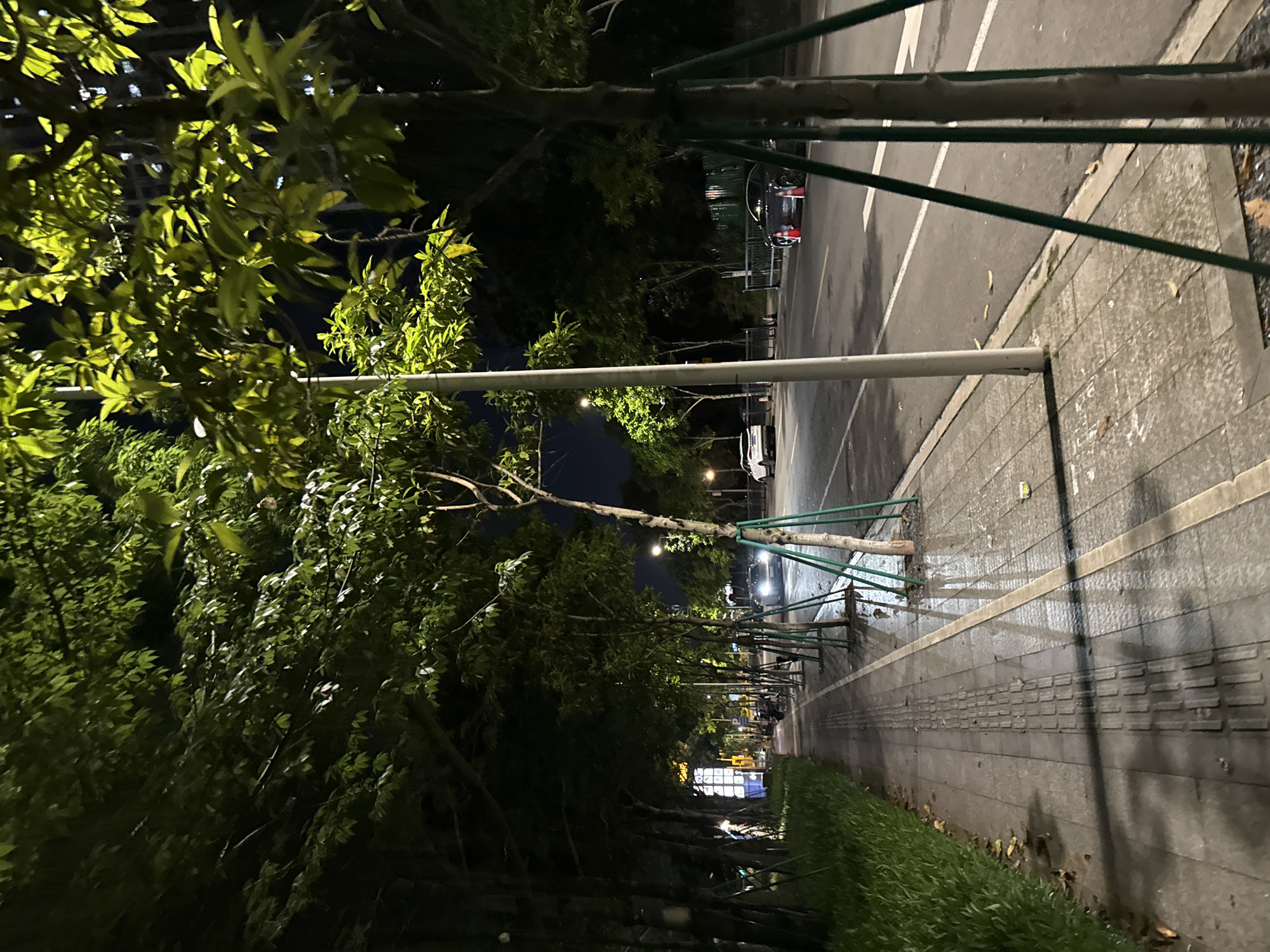 This is a nighttime, eye-level, medium shot of a sidewalk and street in Haizhu District, China. The sidewalk, to the left, is paved with grey tiles and features a tactile paving strip. To the left of the sidewalk is a low, neatly trimmed hedge. The street, to the right, is asphalt and appears wet, reflecting the light from streetlamps and building lights.
Several young trees are planted along the edge of the sidewalk, supported by green stakes. The trees have lush green foliage, illuminated by artificial lights, creating dappled shadows on the sidewalk. A streetlamp is visible in the middle ground, as is a white pole.
On the street, there are a few cars. In the middle distance, a white car is parked. Further down the street, a dark-colored car is parked, partially obscured by a traffic cone. In the background, buildings with lit windows are visible, suggesting an urban environment. The overall impression is a quiet, well-maintained urban street scene at night, possibly after rain.
