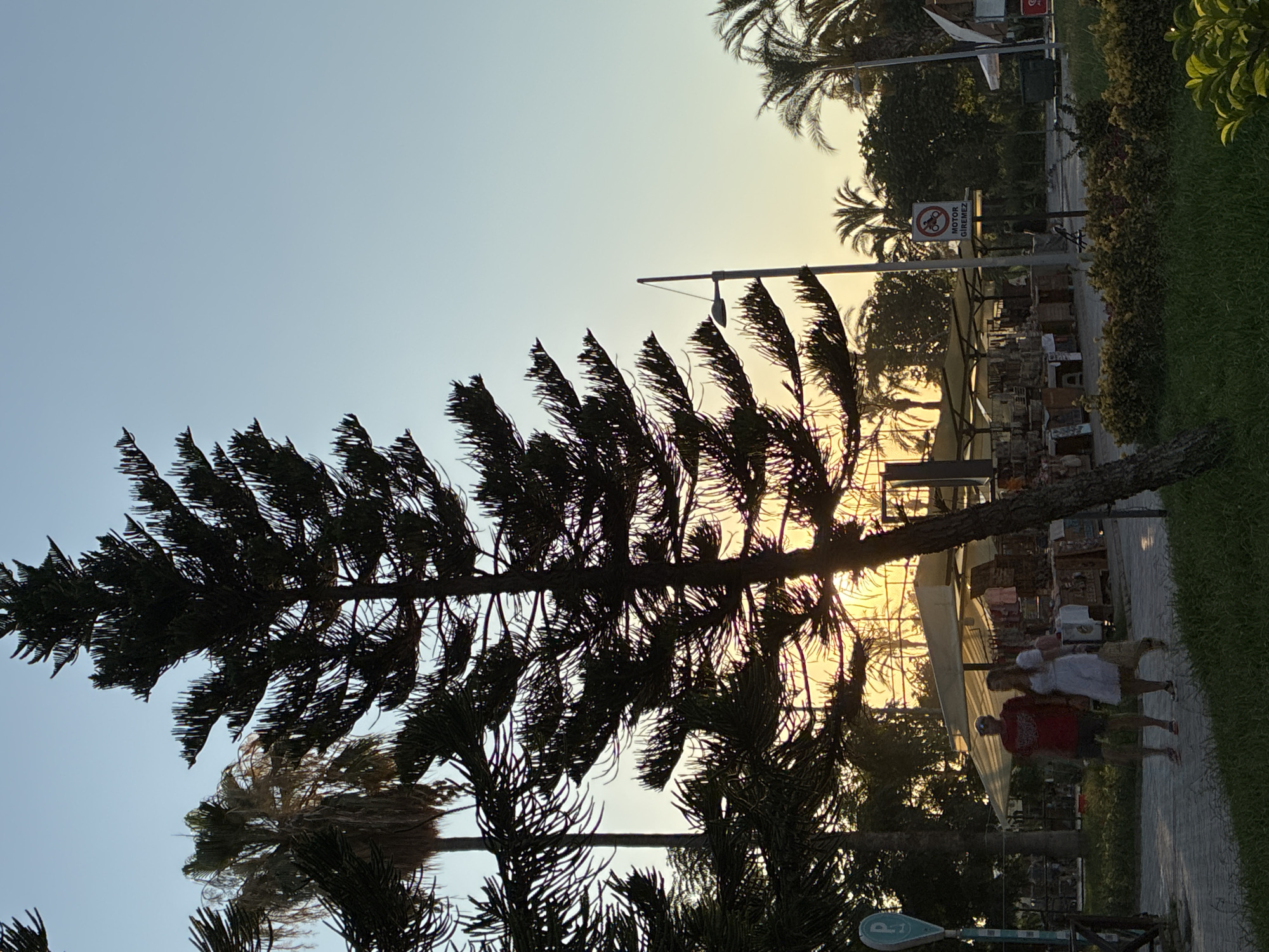 A silhouette of a tall, dark green evergreen tree dominates the foreground of this photograph, its branches spread wide. Behind it, a pale blue sky stretches across the upper portion of the frame, transitioning to a warm yellow and orange gradient near the horizon, indicating either sunrise or sunset. In the middle ground, a couple, a man in a red t-shirt and dark shorts, and a woman in a white dress, walk hand-in-hand on a paved path. To their right, a series of market stalls with beige awnings are set up, displaying various items. Palm trees and other foliage are visible behind the stalls and throughout the scene, suggesting a tropical or subtropical environment. A street lamp with a dark pole and a modern fixture stands to the right of the evergreen tree. A blue parking sign with a white "P" is visible on the left side of the image. A circular red and white sign with a motorcycle symbol and text that reads "MOTOR GIREMEZ" (meaning "No Motorcycles Allowed" in Turkish) is posted on a pole near the market stalls. The overall setting appears to be an outdoor public space, likely a promenade or park area in Alanya, Turkey, given the Turkish text on the sign. The lighting suggests the golden hour, casting a warm glow on the scene.