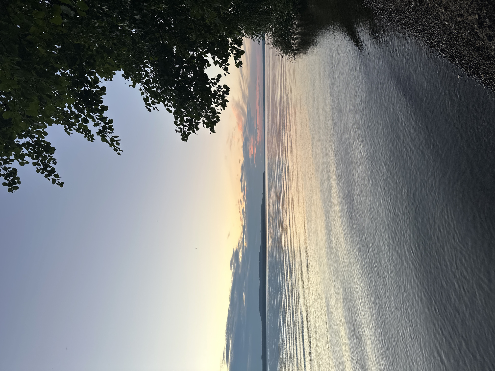 The image depicts a serene natural landscape at dusk, likely near the city of Gory, Russia. The scene is dominated by a vast body of water, possibly a lake or river, with gentle ripples reflecting the soft hues of the sunset. The sky transitions from a pale blue at the top to warmer tones of yellow, pink, and orange near the horizon, where a distant, tree-lined landmass is visible. The foreground features a small, pebbled shoreline on the right side, with lush green foliage from overhanging trees casting shadows on the water. There are no people or animals visible in the image. The overall atmosphere is tranquil and peaceful, characteristic of a quiet evening by the water.