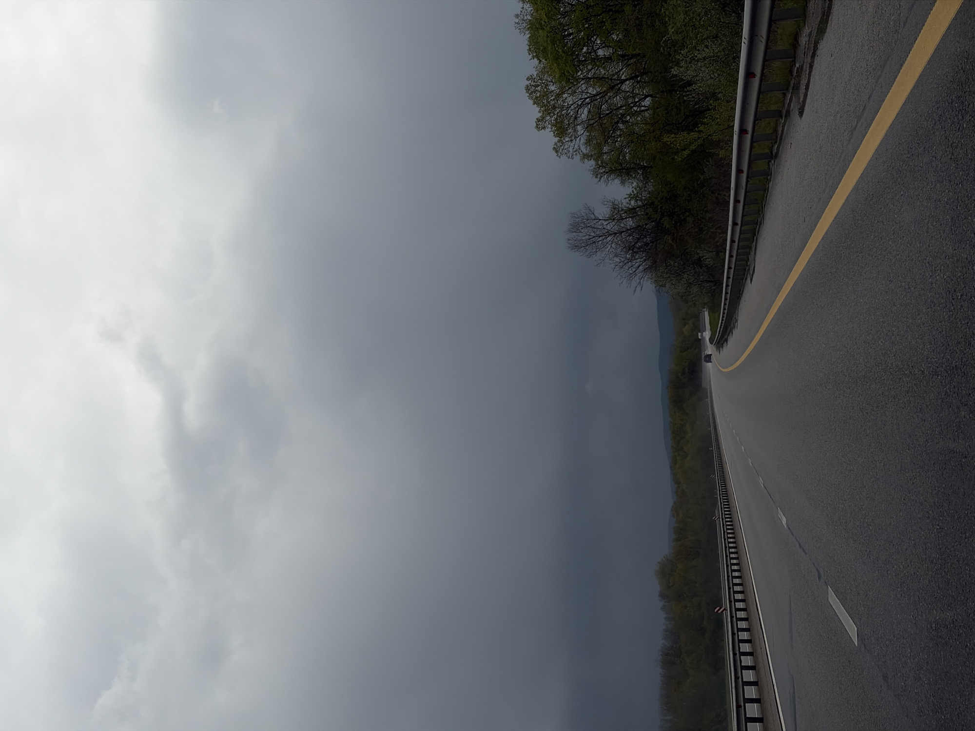 The image presents a landscape view of a road, likely a highway or major route, under a heavily overcast and dark sky in Saratovskaya, Russia. The scene suggests recent or ongoing rain, as the asphalt road surface is visibly wet and reflective. A metal guardrail runs along the left side of the road, paralleling a solid yellow line that marks the edge of the driving lane. Further right on the road, white dashed lines indicate lane divisions, leading into the distance.
To the right of the road, a dense treeline or forest forms a green-brown barrier, with some trees showing lush green foliage and others appearing barer. In the far distance, mountains or hills are dimly visible through a haze of mist or precipitation, blending into the dark sky. A single, indistinct vehicle can be seen far down the road, moving away from the viewer. The sky is completely covered by thick, grey clouds, creating a solemn and dramatic atmosphere typical of a stormy or post-storm day. There is no visible text or people in the image. The time of day appears to be daytime, albeit heavily subdued by the weather conditions.