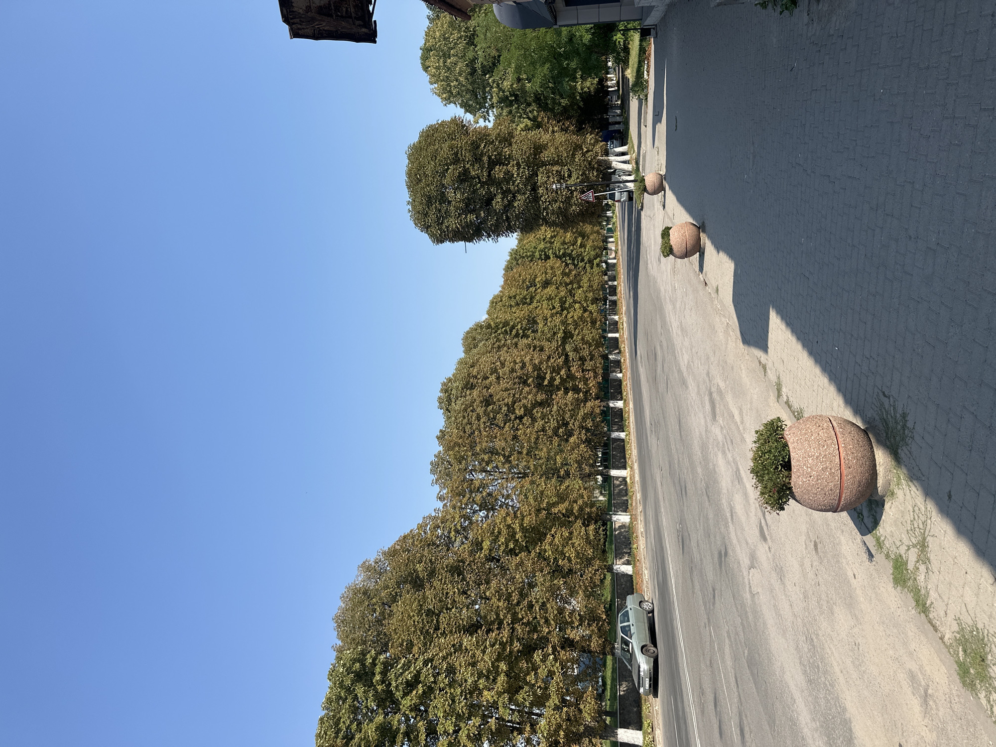 The image depicts a wide, paved road lined with trees on the left side and a sidewalk with planters on the right. The road is empty except for a silver sedan parked on the left shoulder. A row of mature trees with predominantly green and some brown foliage runs along the left side of the road, separated from the road by a low, light-colored fence. On the right side, a paved sidewalk runs parallel to the road. Two large, spherical planters with green foliage are visible on the sidewalk, casting shadows. A building with a dark, angular roofline is partially visible on the far right edge of the frame. The sky is clear and blue, indicating a daytime scene. The image appears to be taken in Khmilnyk, Ukraine, based on the provided context, likely depicting a street with an established tree canopy.