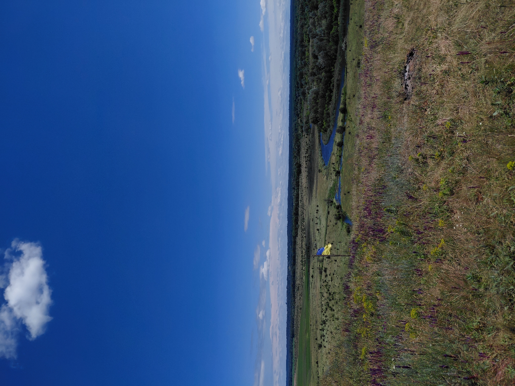 The image depicts a vast, open landscape under a bright blue sky with a few scattered white clouds. In the foreground, a grassy hill is covered with dry grass and scattered wildflowers in shades of purple and yellow. A small, dark, circular area of burnt ground is visible on the right side of the hill. Further down the hill, a Ukrainian flag flies on a flagpole. Beyond the hill, the landscape unfolds into a wide plain with fields of green and brown vegetation. A winding blue river snakes through the plain, bordered by dense green trees on its far bank. The horizon is marked by a line of distant trees and a hazy sky. The scene is serene and natural, suggesting an outdoor location in a rural area.