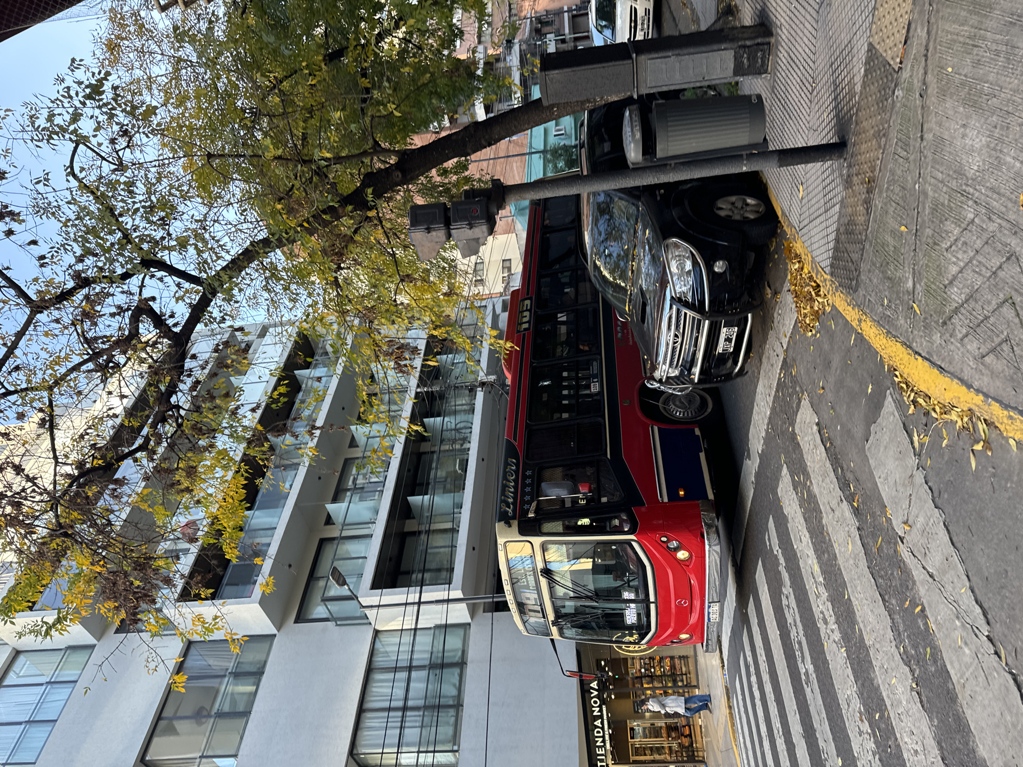 The image depicts a street scene in Buenos Aires, Argentina, likely during autumn, evidenced by the presence of yellow leaves on a tree and scattered on the ground. A red and blue bus, identified by "Línea 109" printed on its side, is partially visible, seemingly stopped at a crosswalk. A black car is parked tightly next to it. The buildings in the background feature modern architectural designs, one predominantly white with angled balconies. Pedestrians are present in the scene, including one visible near a store named "TIENDA NOVA". The car has a license plate that reads "UIP 206" and the bus number on the side says "109 6".