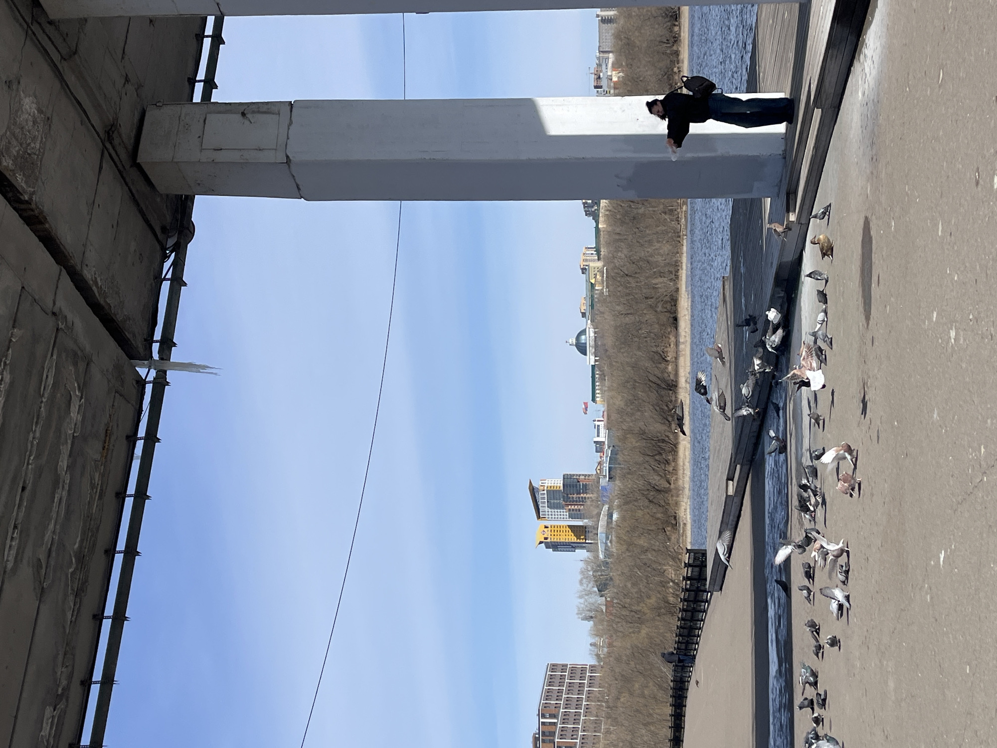 The image shows a person feeding pigeons on a waterfront in Krasnoyarsk, Russia. The person is standing on a concrete structure near a river, with various buildings and trees in the background. Many pigeons are gathered around the person, presumably to eat the food being offered. The scene is framed by a concrete bridge support structure on the left.