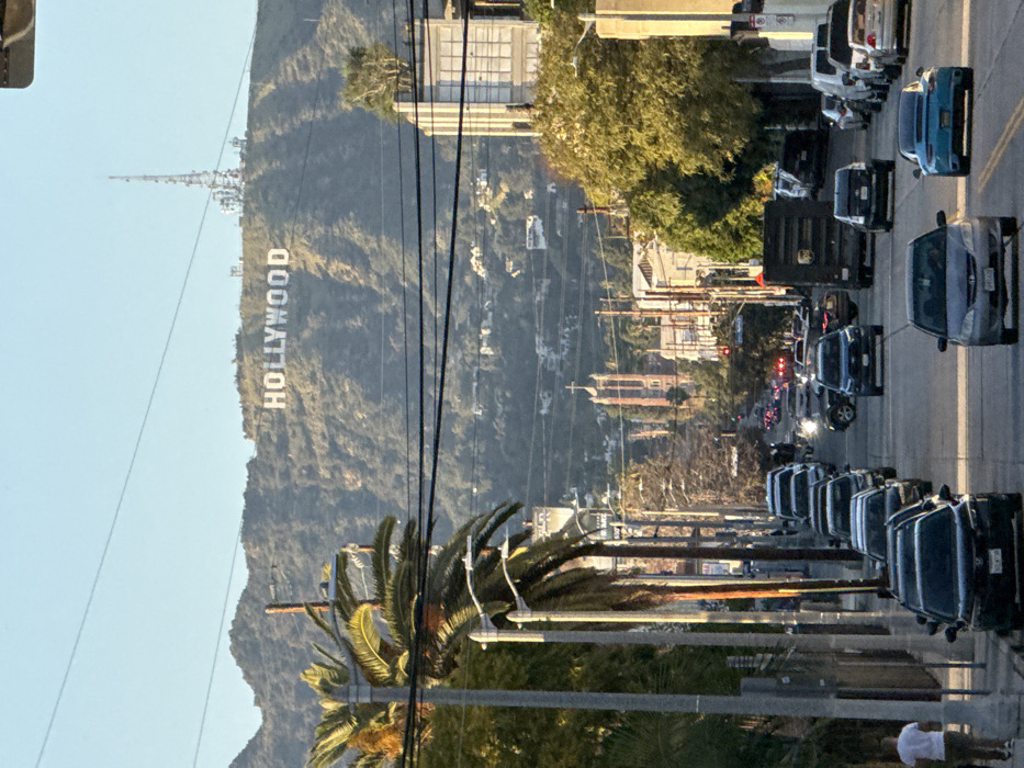 This image captures an urban street scene in Los Angeles, California, United States of America, oriented north towards the Hollywood Hills. The iconic white "HOLLYWOOD" sign is prominently displayed on a brush-covered hillside in the background. To the right of the sign, a tall radio or television transmission tower with multiple antennas stands on the ridge. The sky above is clear and light blue.
In the midground, a two-lane asphalt road descends into the city. A distinctive brick church with two spires is visible in the distance, centered along the street's axis. Various multi-story buildings line the street, including a structure on the right with vertical paneling and a small tree growing from its upper facade. Numerous utility poles and a dense network of overhead power and communication lines crisscross the frame.
The foreground features multiple vehicles. A silver sedan is in the left lane, while a light blue sports car (Porsche) occupies the right lane, both traveling away from the viewer. Further back in the right lane, a dark brown UPS delivery truck is visible, followed by several other cars. Numerous parked vehicles line both sides of the street. On the left sidewalk, a lone male pedestrian, wearing a white t-shirt and light-colored pants, walks away from the camera. The left side of the street is lined with tall palm trees, while other deciduous trees with green foliage are present on the right side and further down the street. The scene is illuminated by natural sunlight, casting visible shadows and highlighting the distant hills.