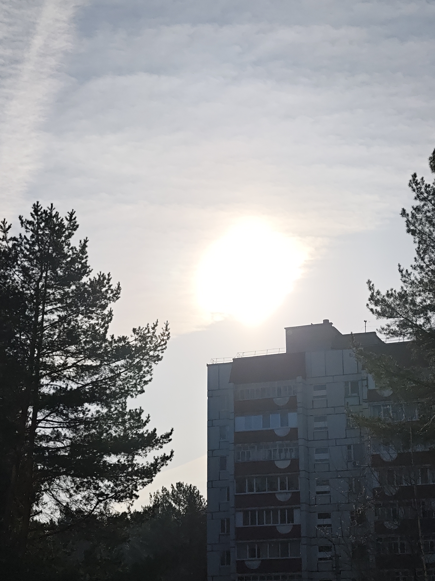 The image shows a view in what appears to be Chaikovsky, Russia. An aged, grey, concrete apartment building stands flanked by silhouettes of pine trees. The sky is overcast with the sun appearing as a diffuse, bright orb obscured by clouds. Lower in the image is a tree line obscuring the bottom half of the apartment building. No people or interactions are visible.