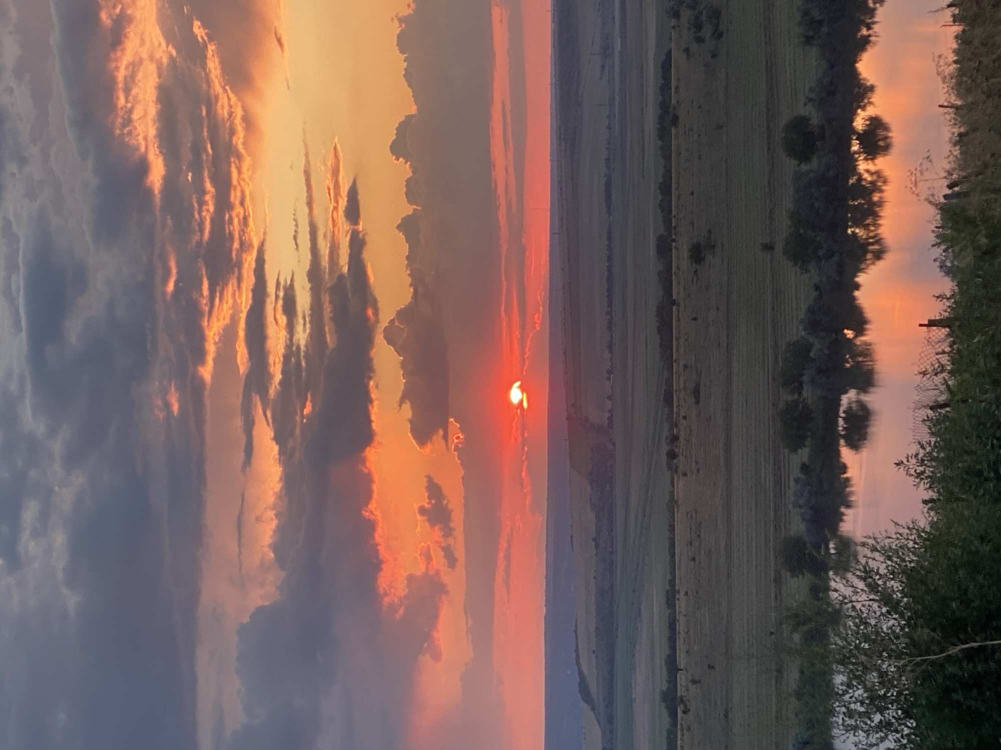 An image depicts a scenic sunset over Cairaclia, Moldova. The sun, a vibrant red orb, is partially obscured by clouds tinged with orange and pink hues. The sky transitions from deep purple and gray at the top to bright orange and red towards the horizon. Below the sky, a vast expanse of agricultural fields stretches out, dotted with patches of trees and a subtle rise in the landscape on the left. A river flows in the foreground, its surface reflecting the colors of the sunset. Lush green vegetation lines the riverbank, with some foliage encroaching on the lower edge of the frame. The overall scene captures a serene and picturesque moment of nature.